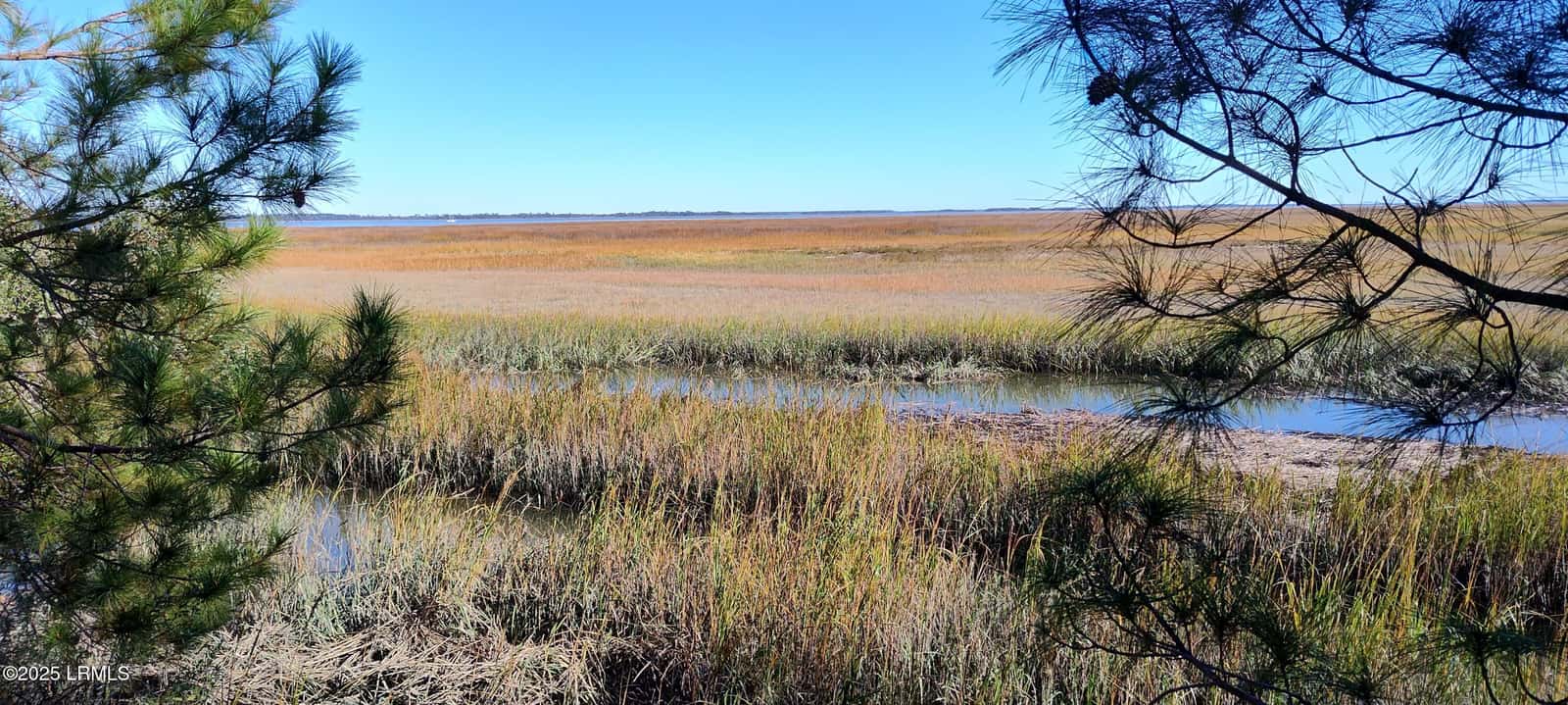 2 Black Skimmer Court, Beaufort, SC 29907 — photo 4 of 13