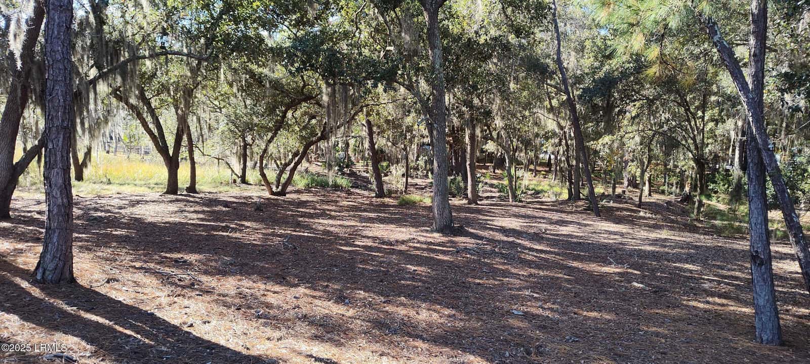 2 Black Skimmer Court, Beaufort, SC 29907 — photo 5 of 13