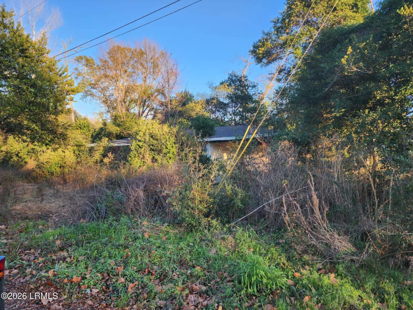 58 Grayson Street E, Brunson, SC 29911 — photo 2 of 28