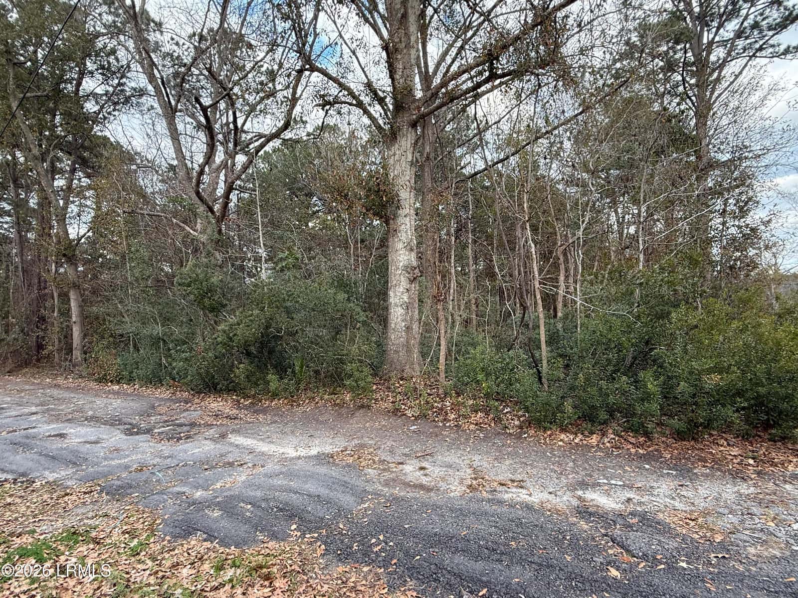6 Dan Drive, Dale, SC 29914 — photo 2 of 3