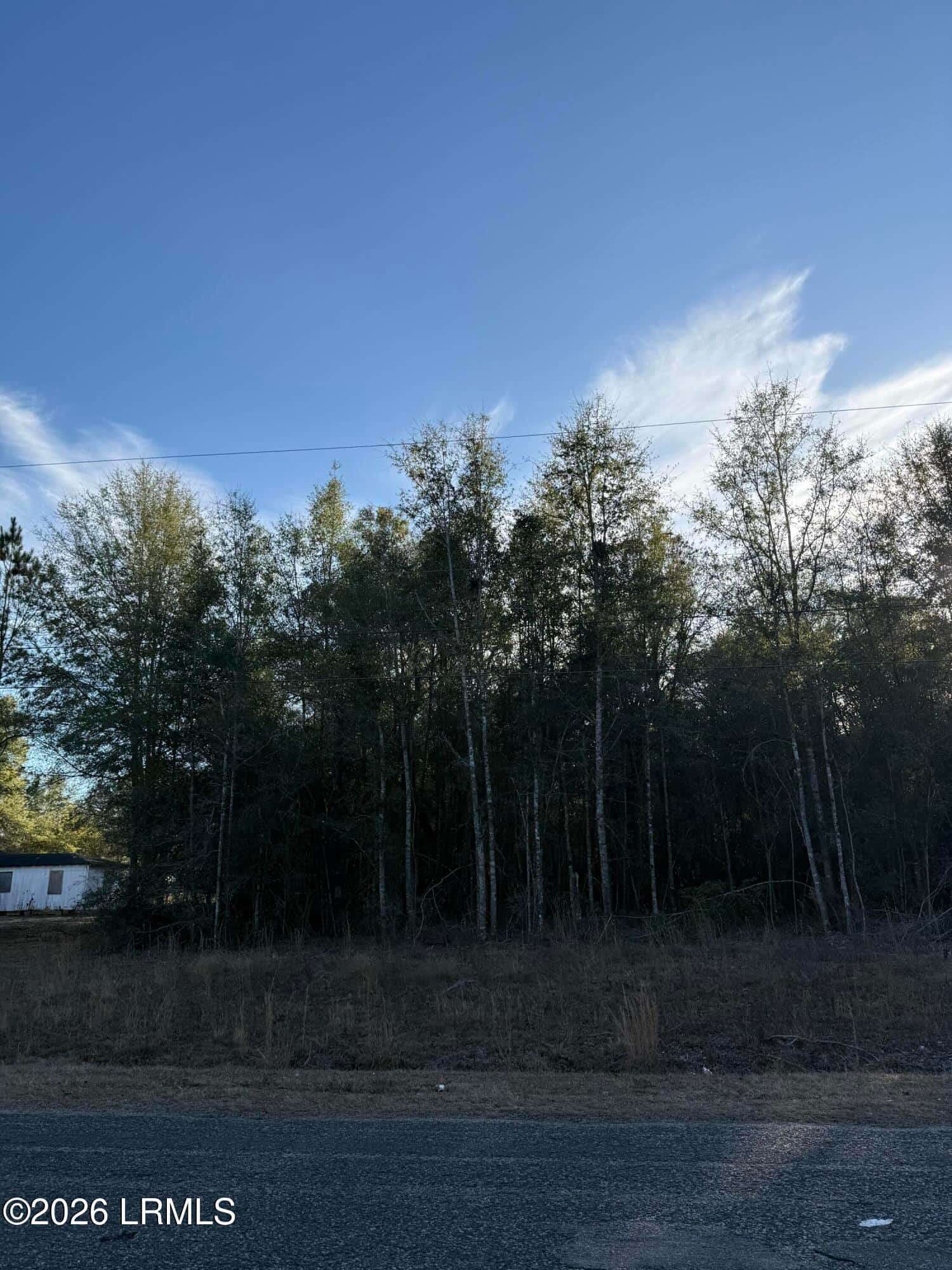 Tbd Stokes Bluff Road, Garnett, SC 29922 — photo 4 of 12