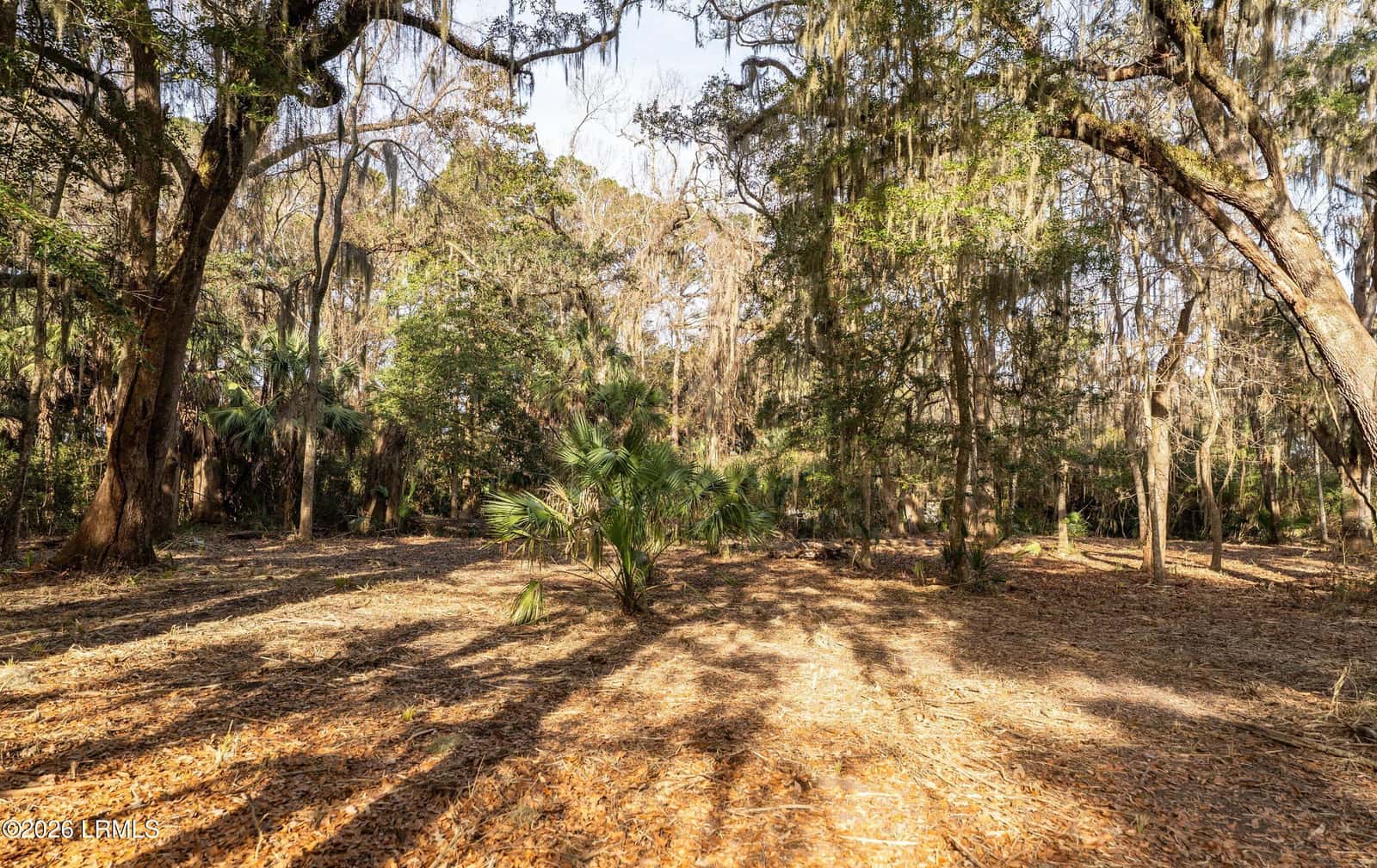 32 Winding Oak Drive, Okatie, SC 29909 — photo 5 of 27
