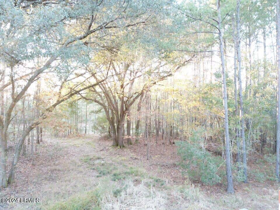 160 Somerset Drive, Yemassee, SC 29945 — photo 3 of 11