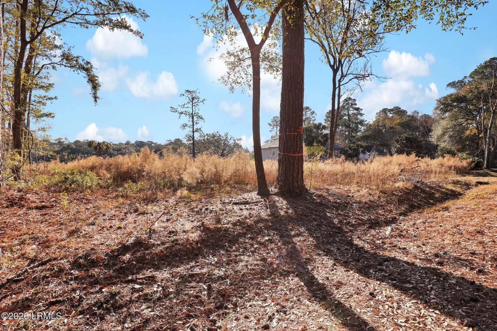 12 E River Drive, Beaufort, SC 29907 — photo 2 of 3