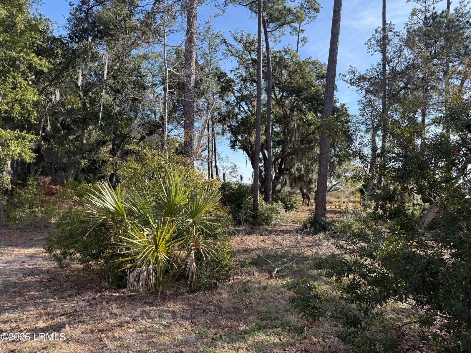 1 Shallow Run Lane, Beaufort, SC 29907 — photo 2 of 14
