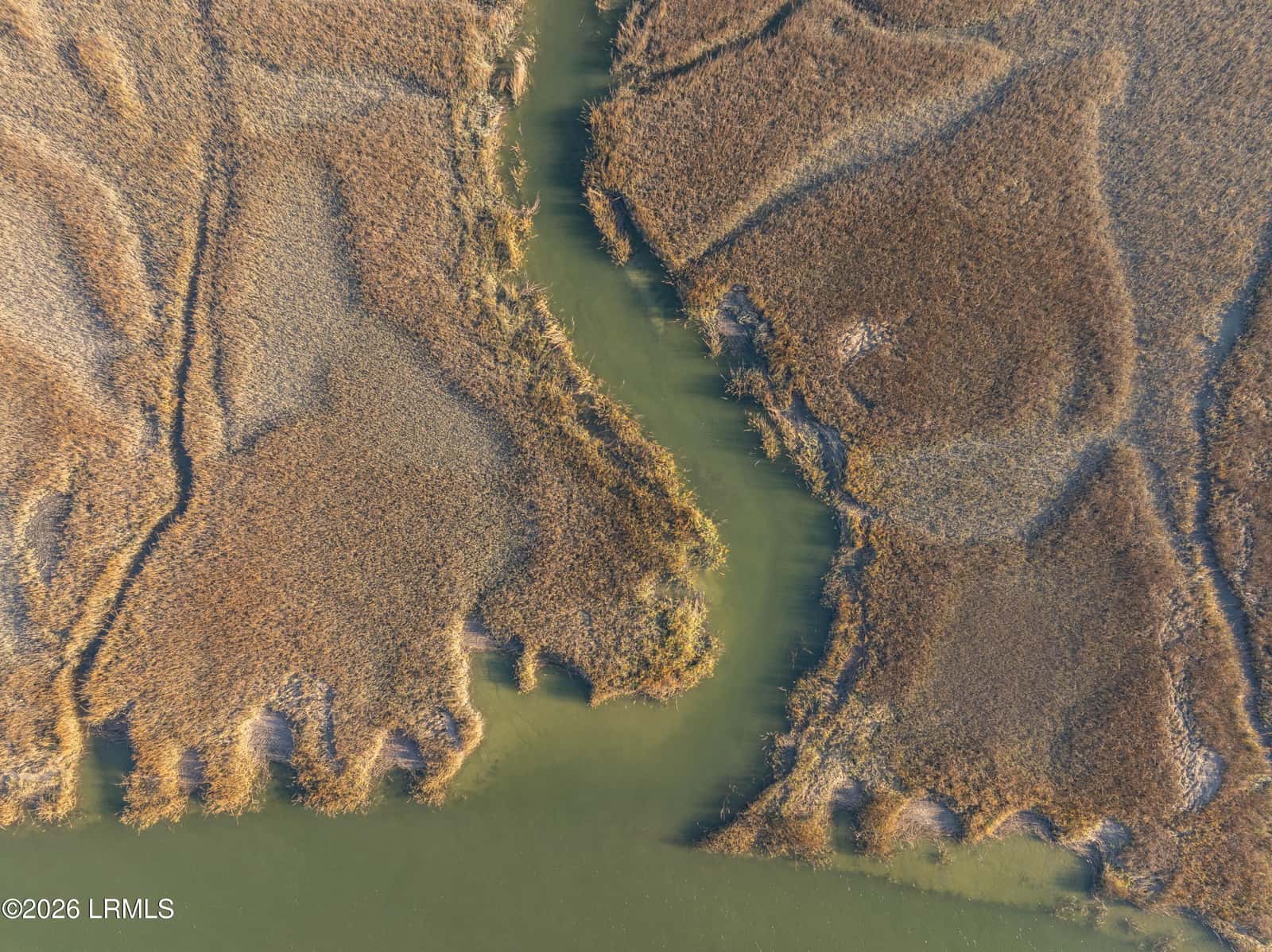 Tbd Blackwall Island, St. Helena Island, SC 29920 — photo 5 of 11