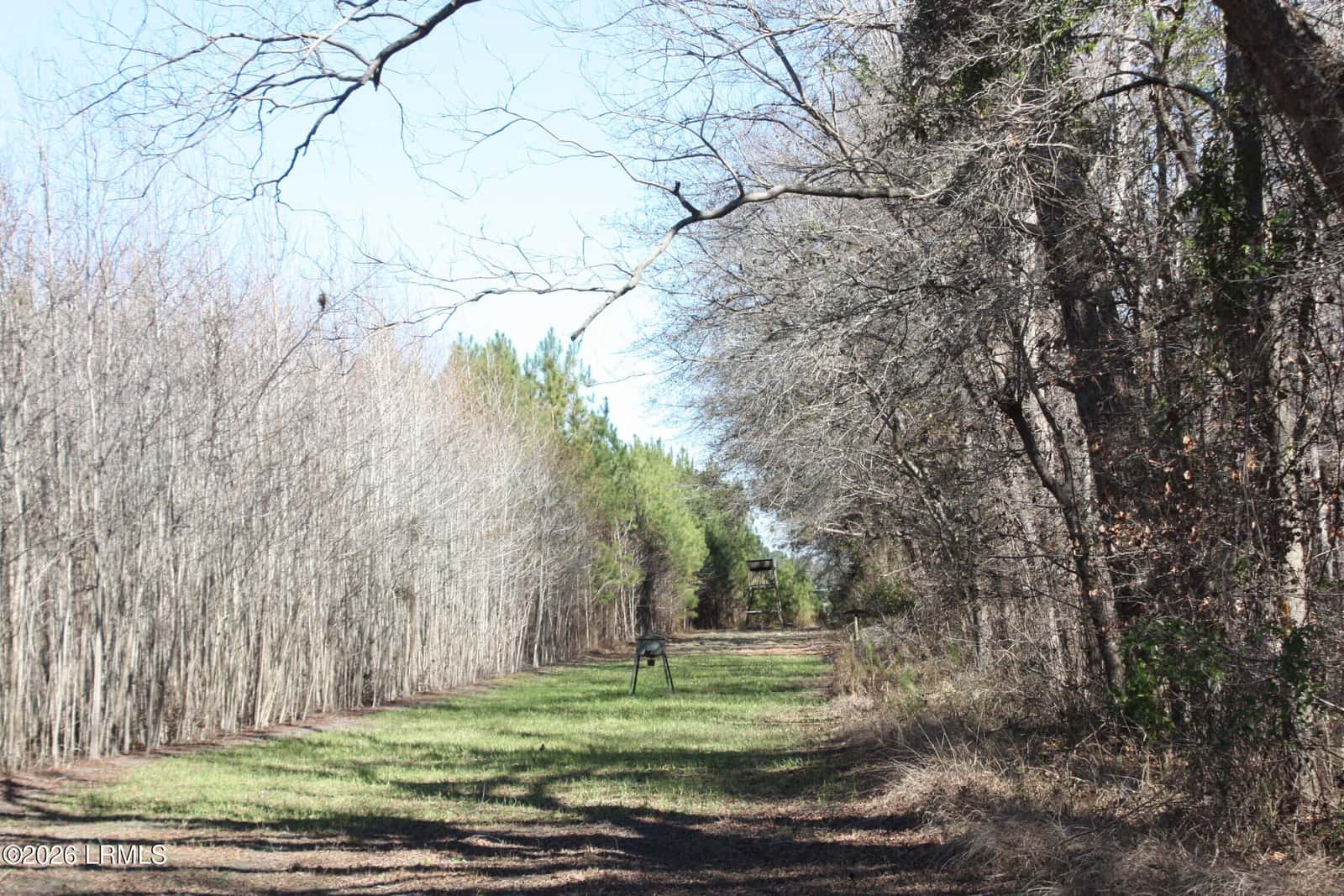 2650 Joe Miley Road, Brunson, SC 29911 — photo 2 of 13