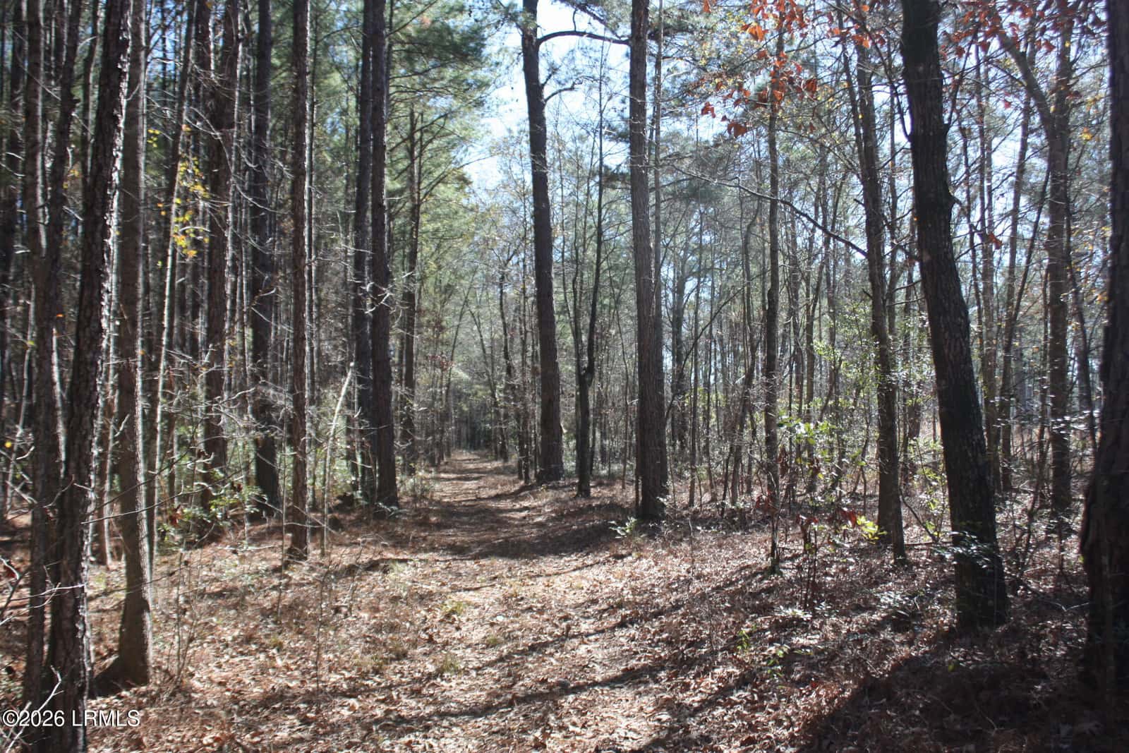 2650 Joe Miley Road, Brunson, SC 29911 — photo 5 of 13
