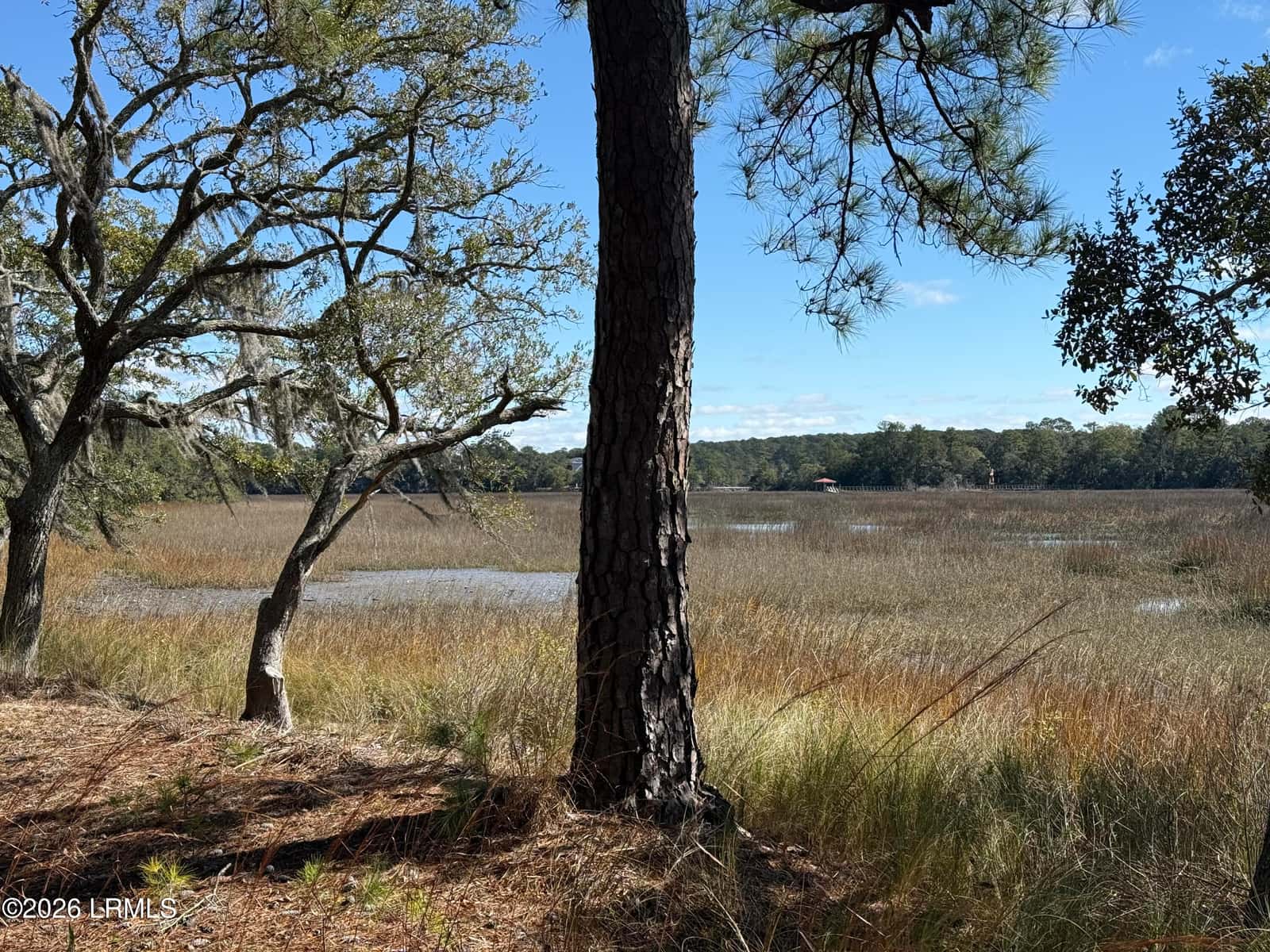 74 Downing Drive, Beaufort, SC 29907 — photo 5 of 12