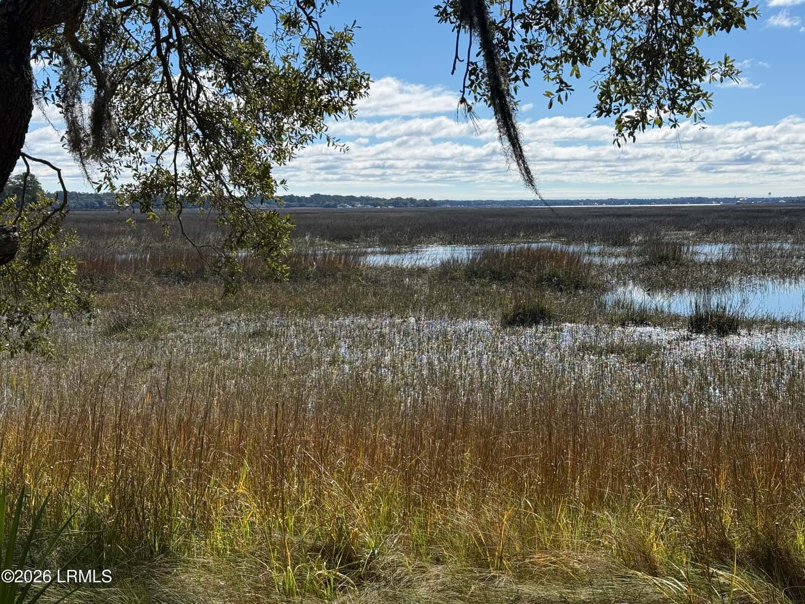 74 Downing Drive, Beaufort, SC 29907 — photo 4 of 12