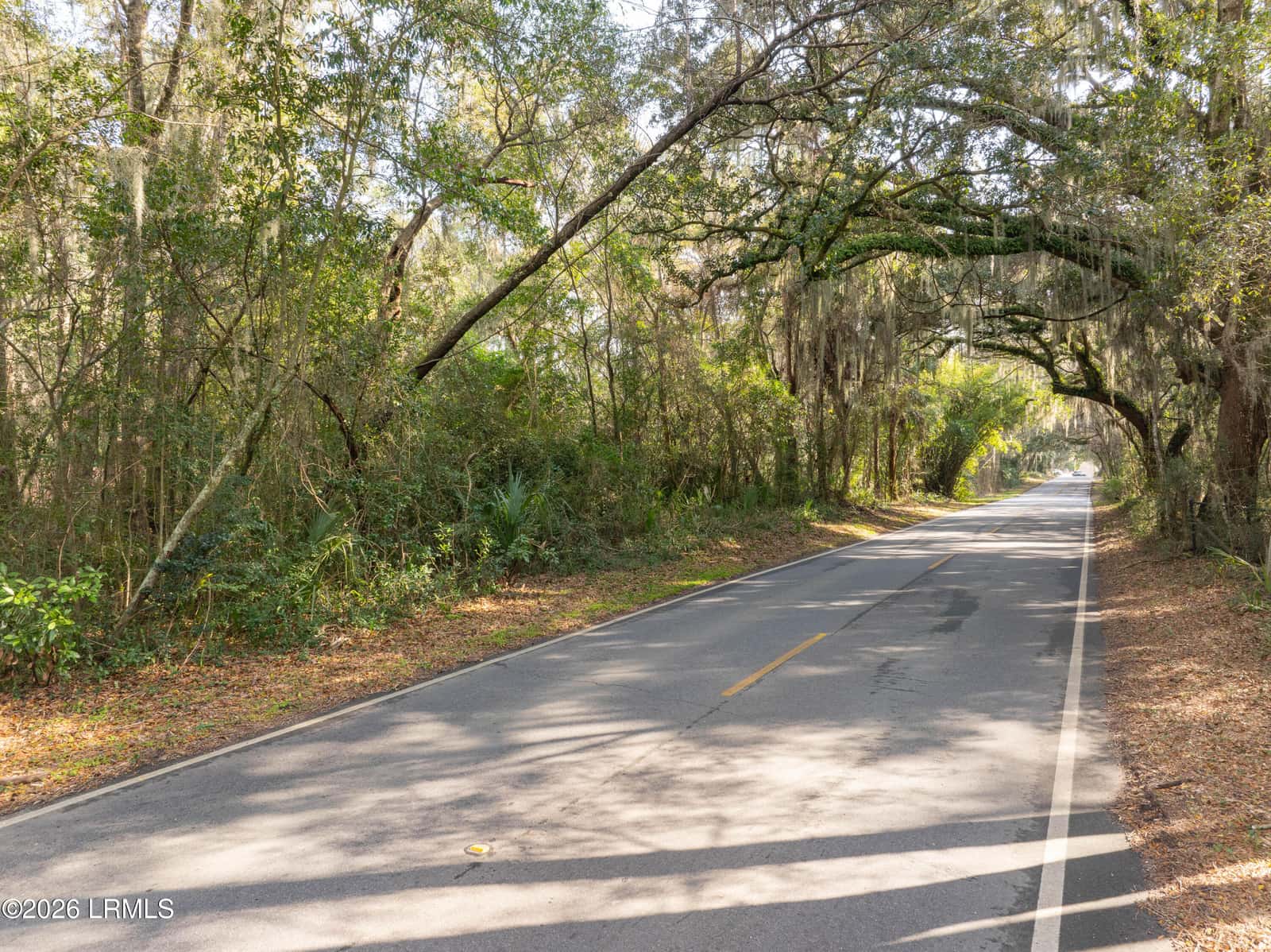 Tbd Meridian Road, Beaufort, SC 29907 — photo 3 of 11