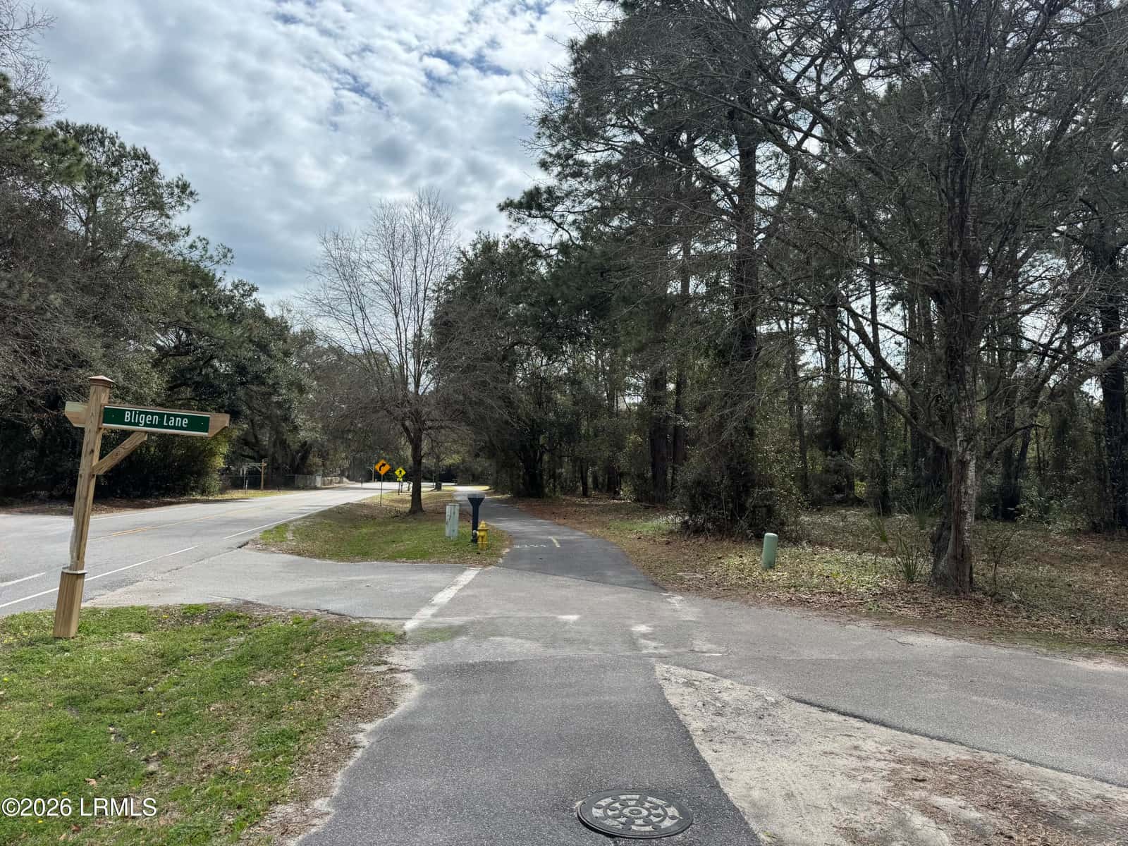 0 Wild Horse Road, Hilton Head Island, SC 29926 — photo 3 of 8