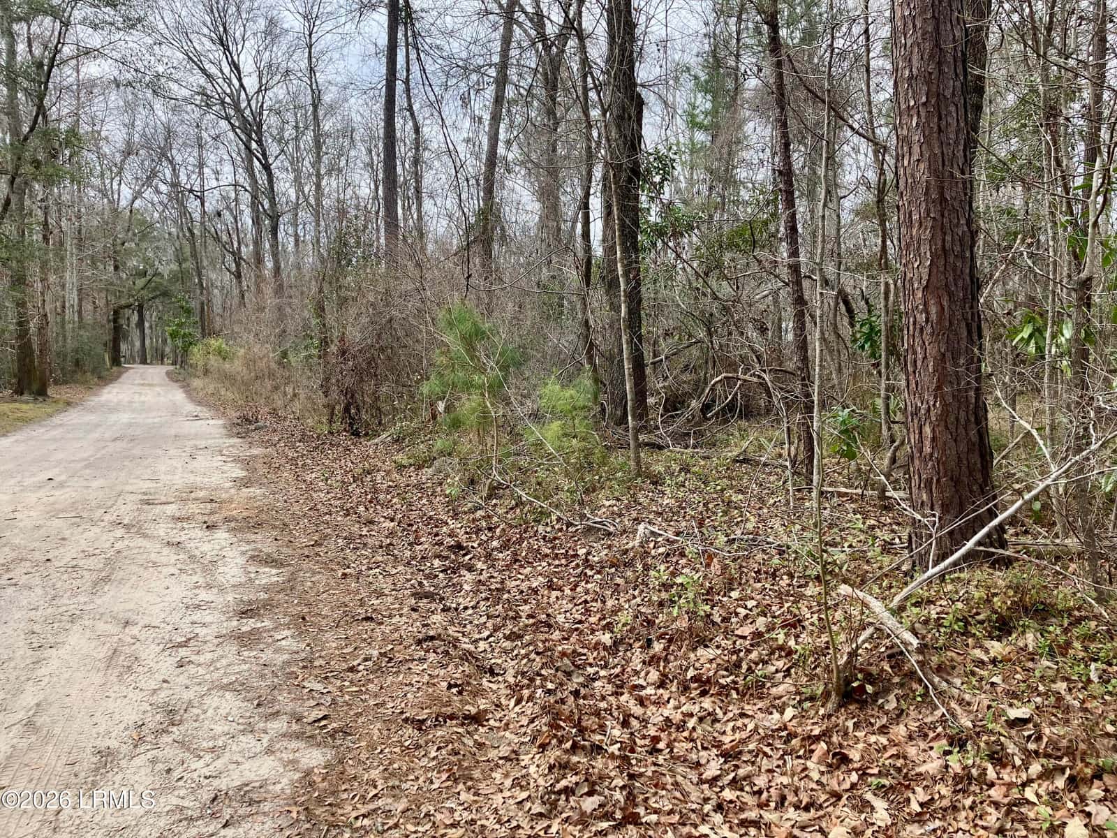 0 Delta Estates Road, Hardeeville, SC 29927 — photo 5 of 6