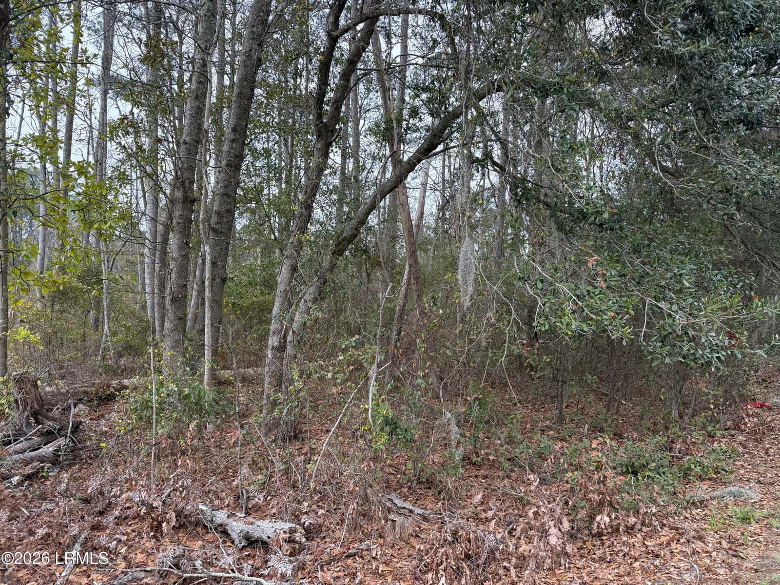 145 Savannah Highway, Beaufort, SC 29906 — photo 5 of 10