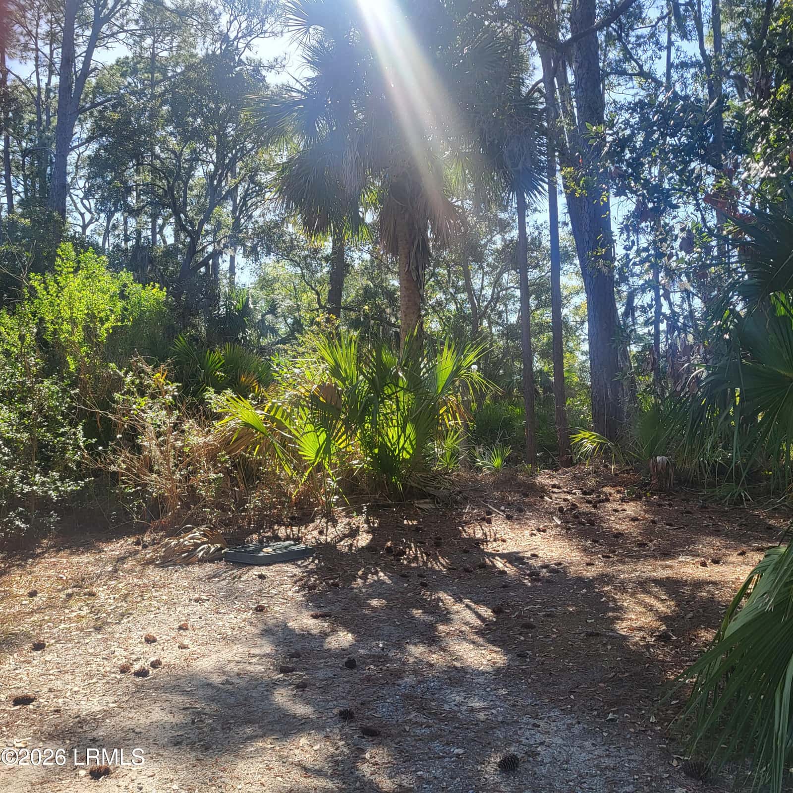 26 Lakeview Lane, St. Helena Island, SC 29920 — photo 4 of 12