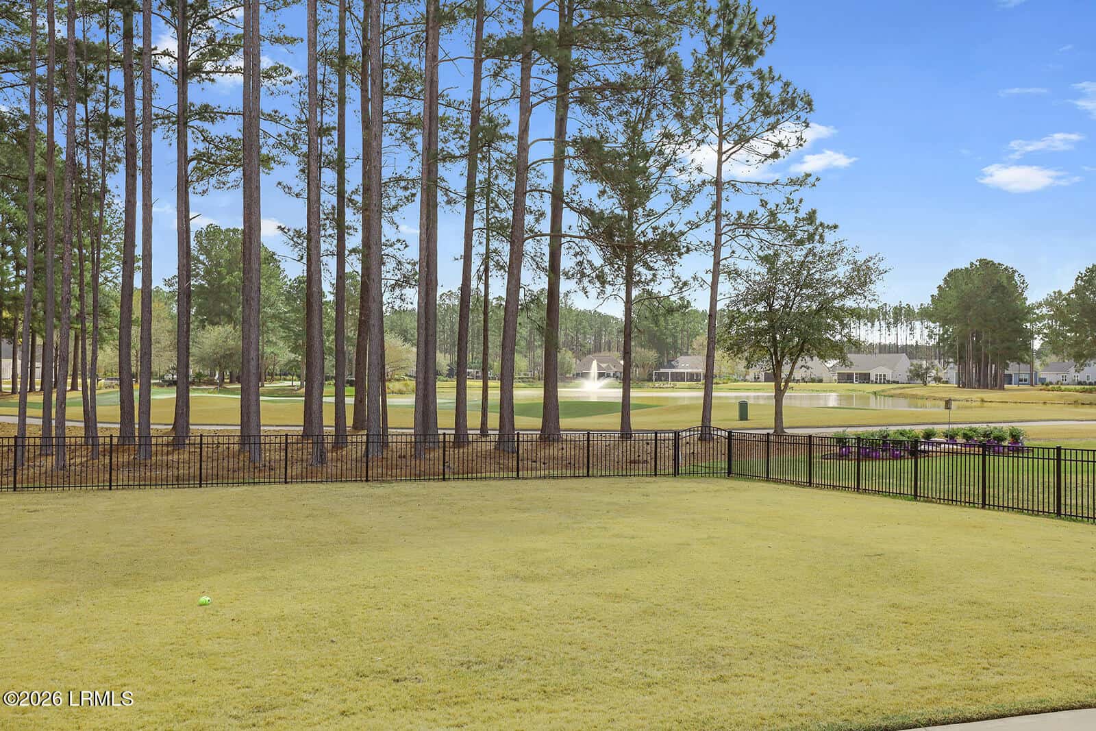 141 Firethorn Lane, Hardeeville, SC 29927 — photo 4 of 84