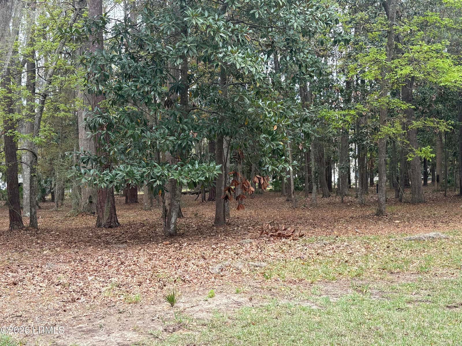 417 Battery Chase, Beaufort, SC 29902 — photo 3 of 7