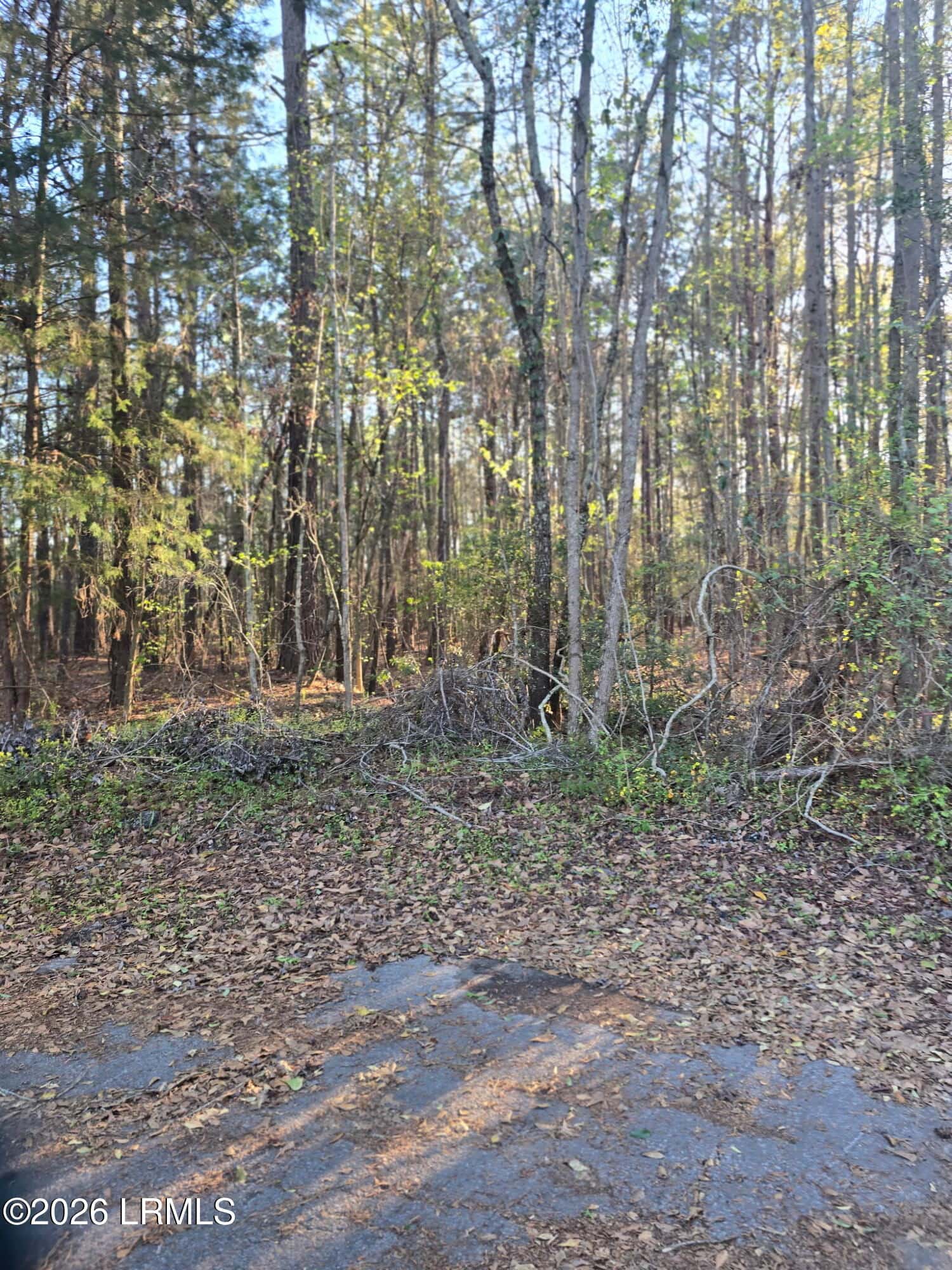 Lot 12 Freeman Street, Brunson, SC 29911 — photo 2 of 8