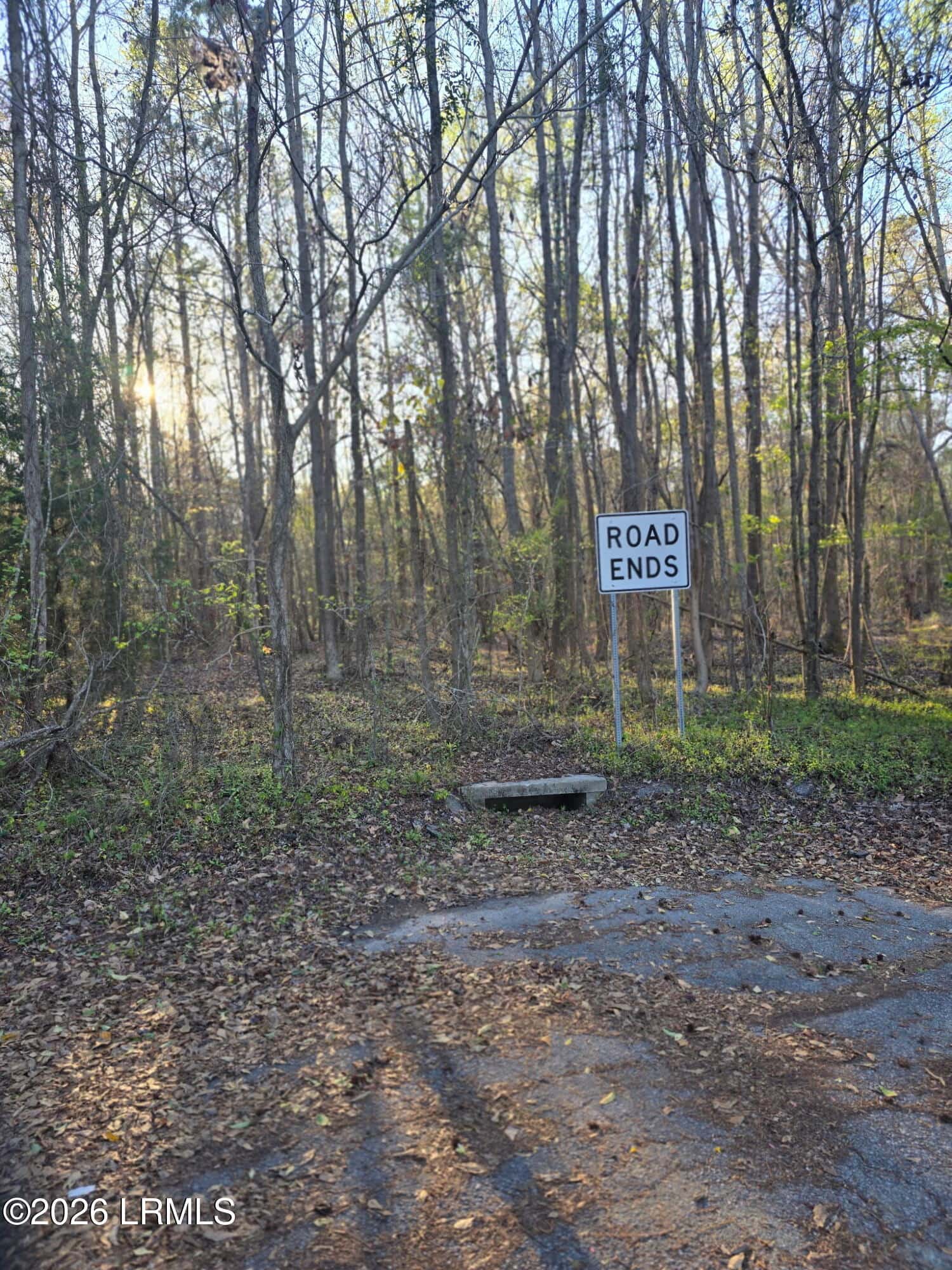 Lot 12 Freeman Street, Brunson, SC 29911 — photo 3 of 8