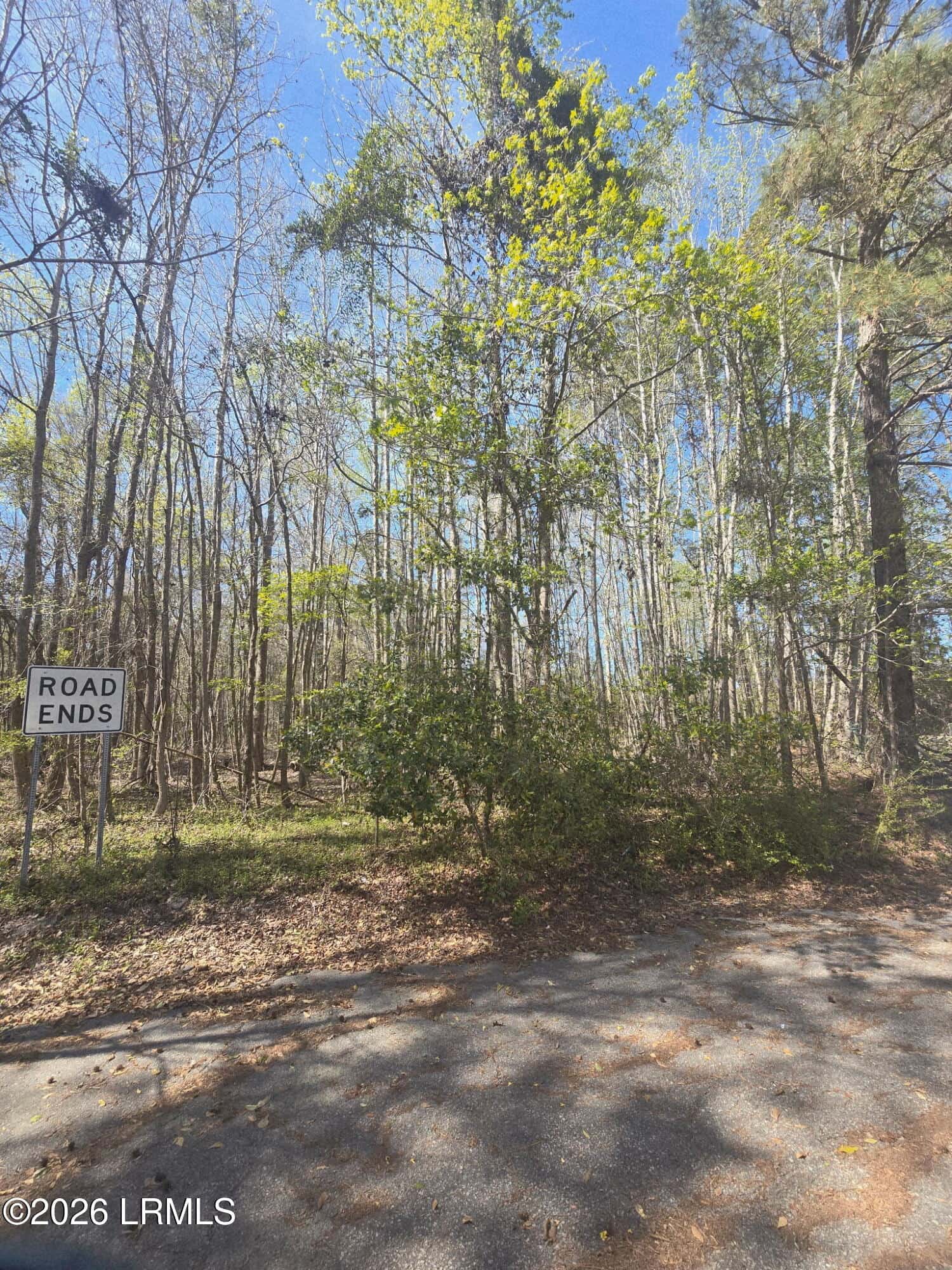Lot 5 Freeman Street, Hampton, SC 29924 — photo 2 of 7