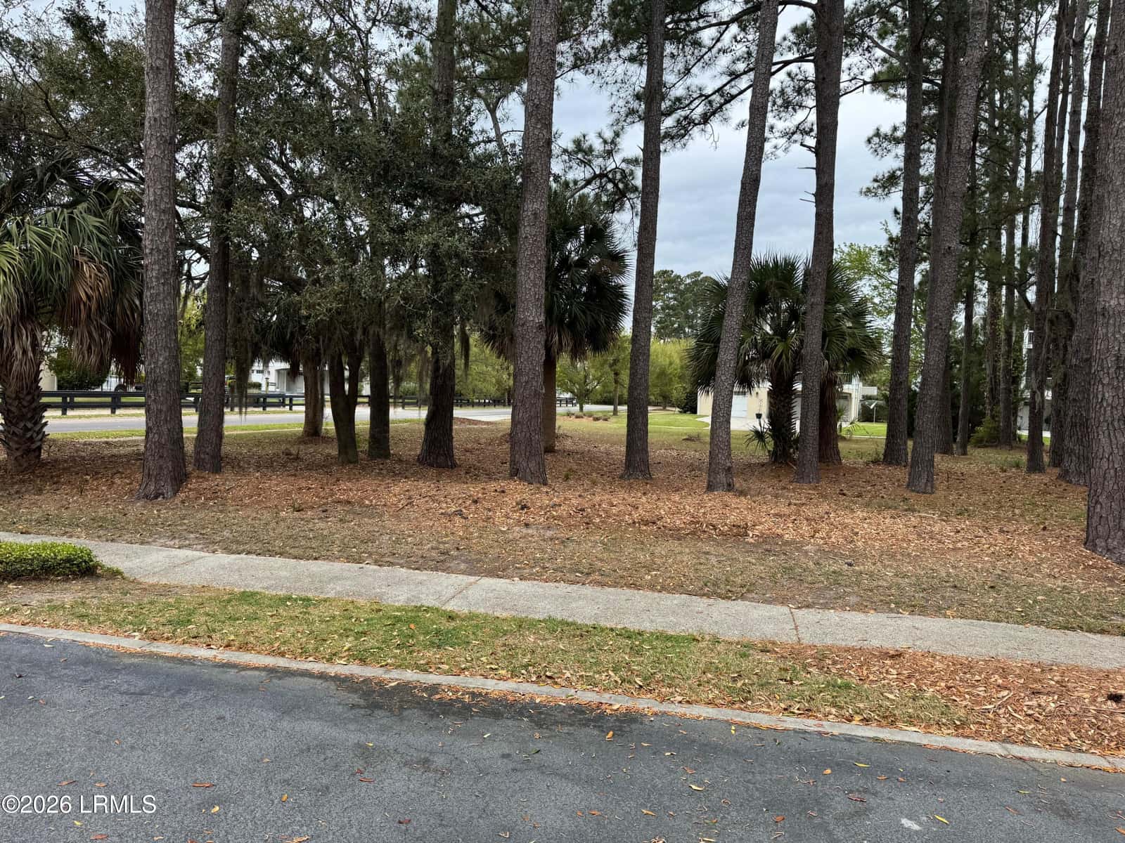 24 Welsh Pony Circle, Hilton Head Island, SC 29926 — photo 3 of 6