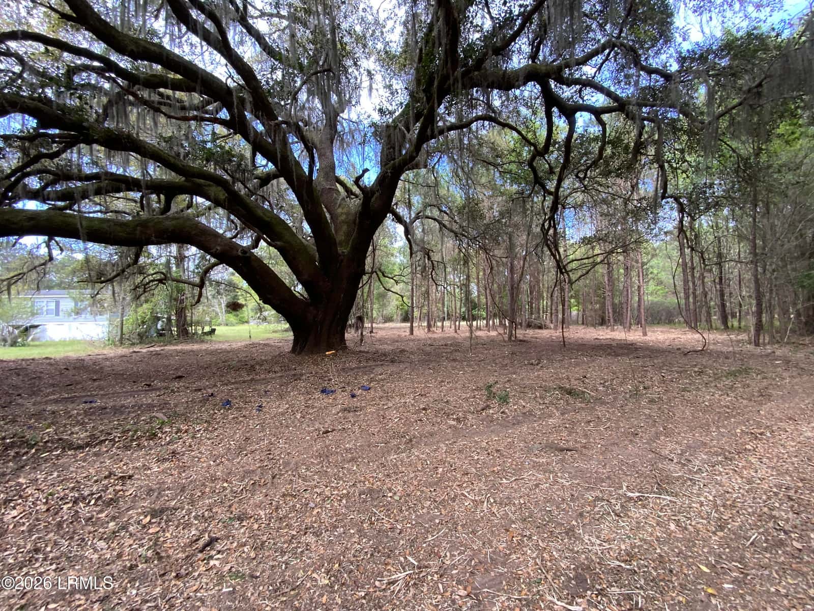 33 Pearl Harbor Lane, St. Helena Island, SC 29920 — photo 4 of 5