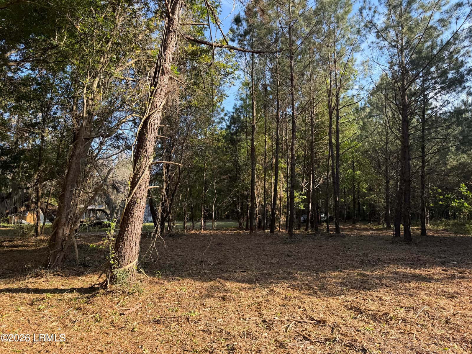 41 Pearl Harbor Lane, St. Helena Island, SC 29920 — photo 5 of 10