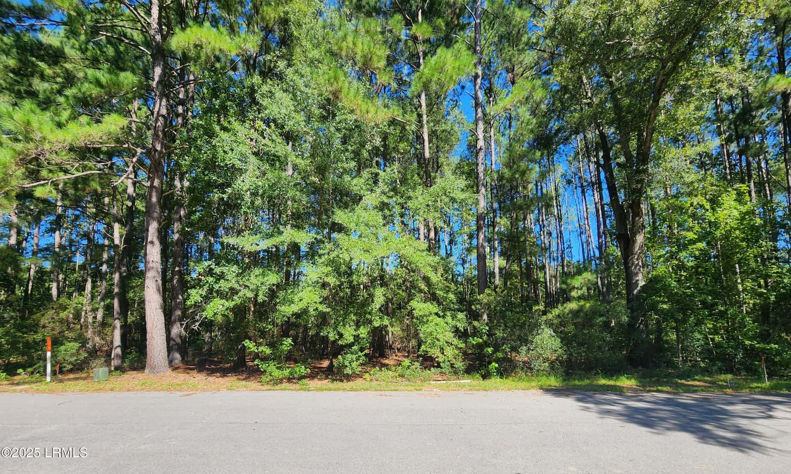 301 Founders Oak Way, Yemassee, SC 29945 — photo 2 of 14