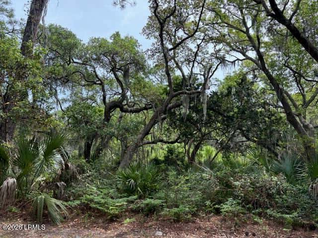 15 Lakeview Lane, Harbor Island, SC 29920 — photo 2 of 6
