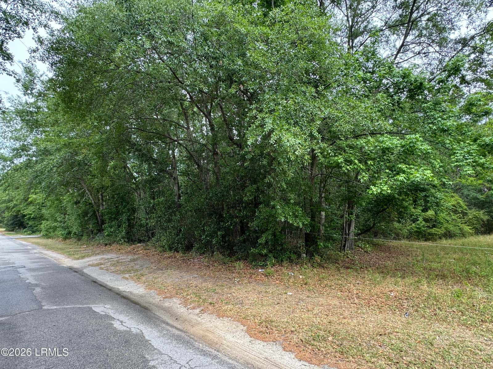 00 Ellis Avenue, Estill, SC 29918 — photo 2 of 5
