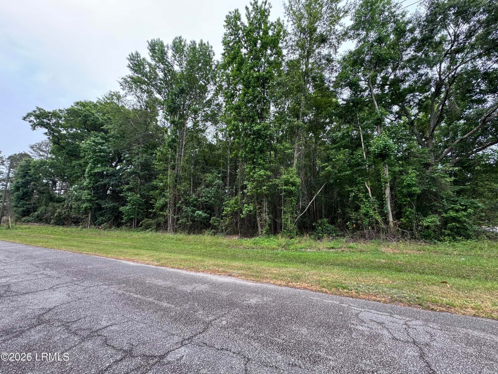 00 Ellis Avenue, Estill, SC 29918 — photo 4 of 5