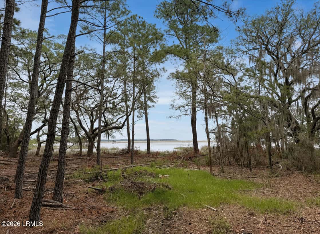 34 Creekmoor Lane, Seabrook, SC 29940 — photo 5 of 20