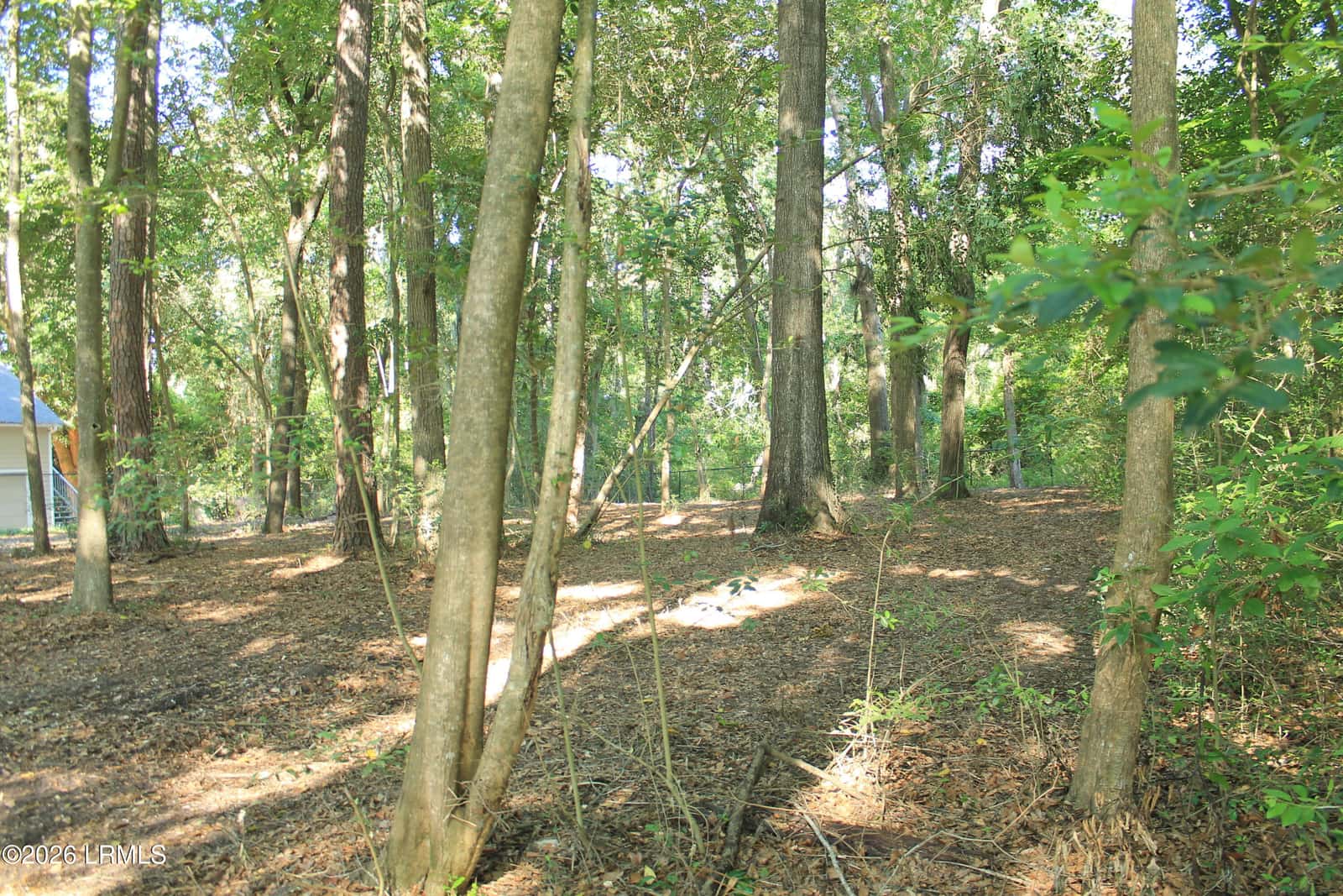 25 Meridian Road, Beaufort, SC 29907 — photo 3 of 6