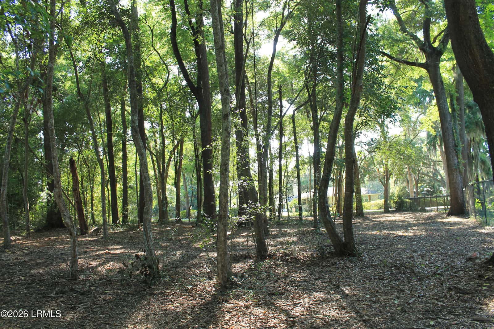 25 Meridian Road, Beaufort, SC 29907 — photo 5 of 6