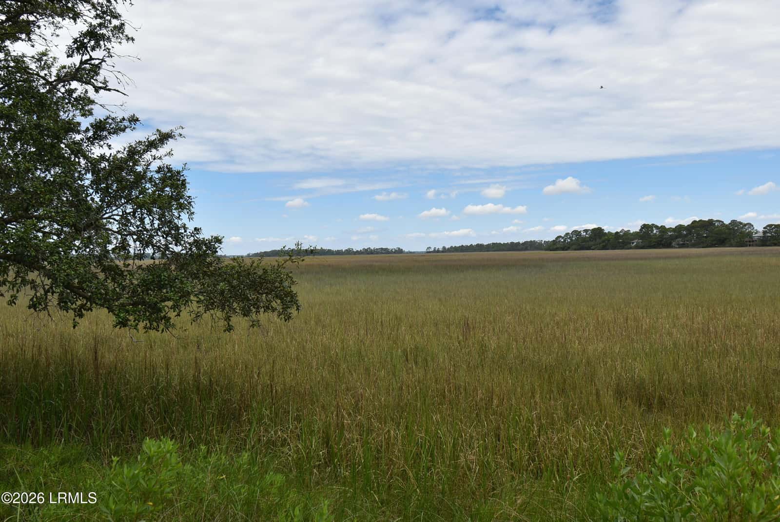 831 Marsh Dunes Road, Fripp Island, SC 29920 — photo 3 of 46