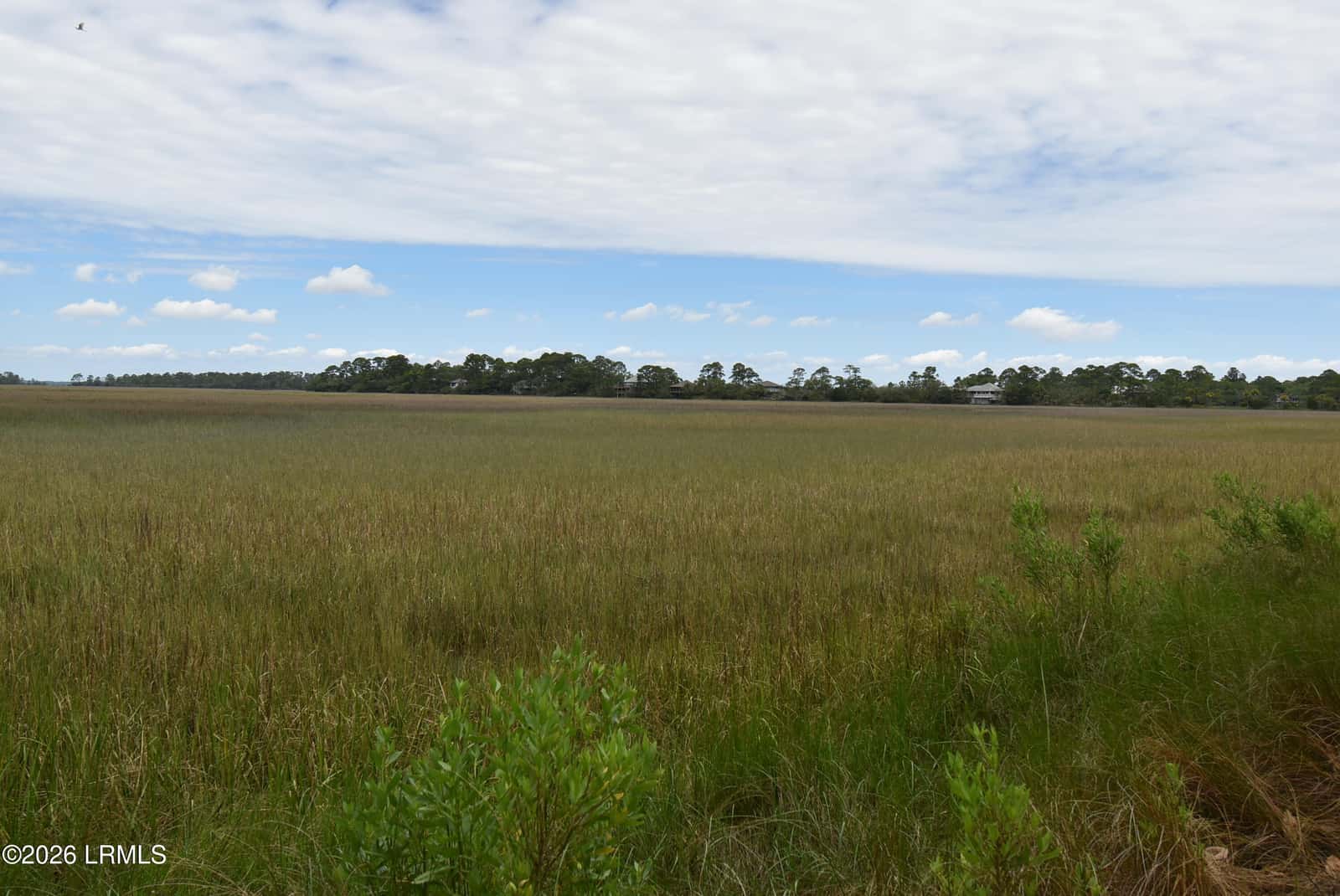 831 Marsh Dunes Road, Fripp Island, SC 29920 — photo 4 of 46