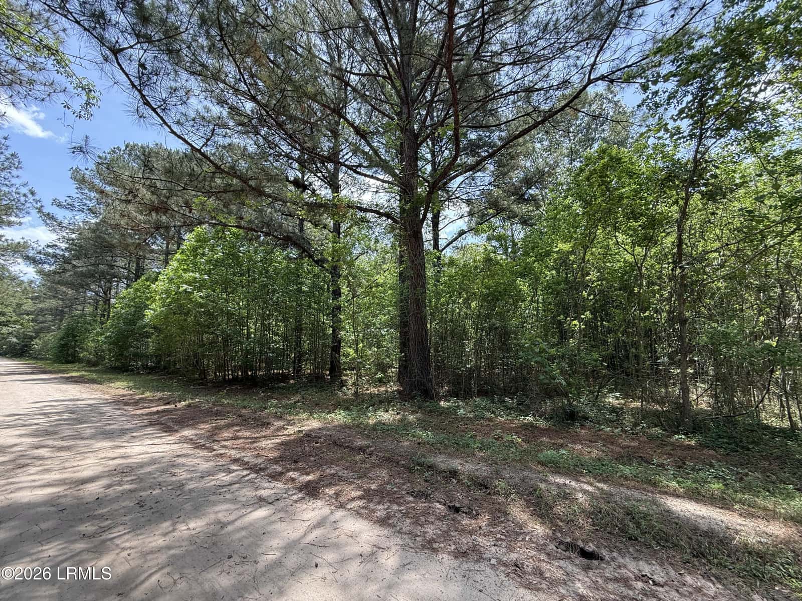 12 Rubie Lane, Yemassee, SC 29945 — photo 3 of 9