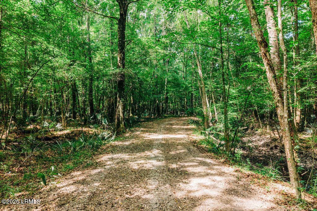 1 Parnel Road, Cope, SC 29038 — photo 4 of 13