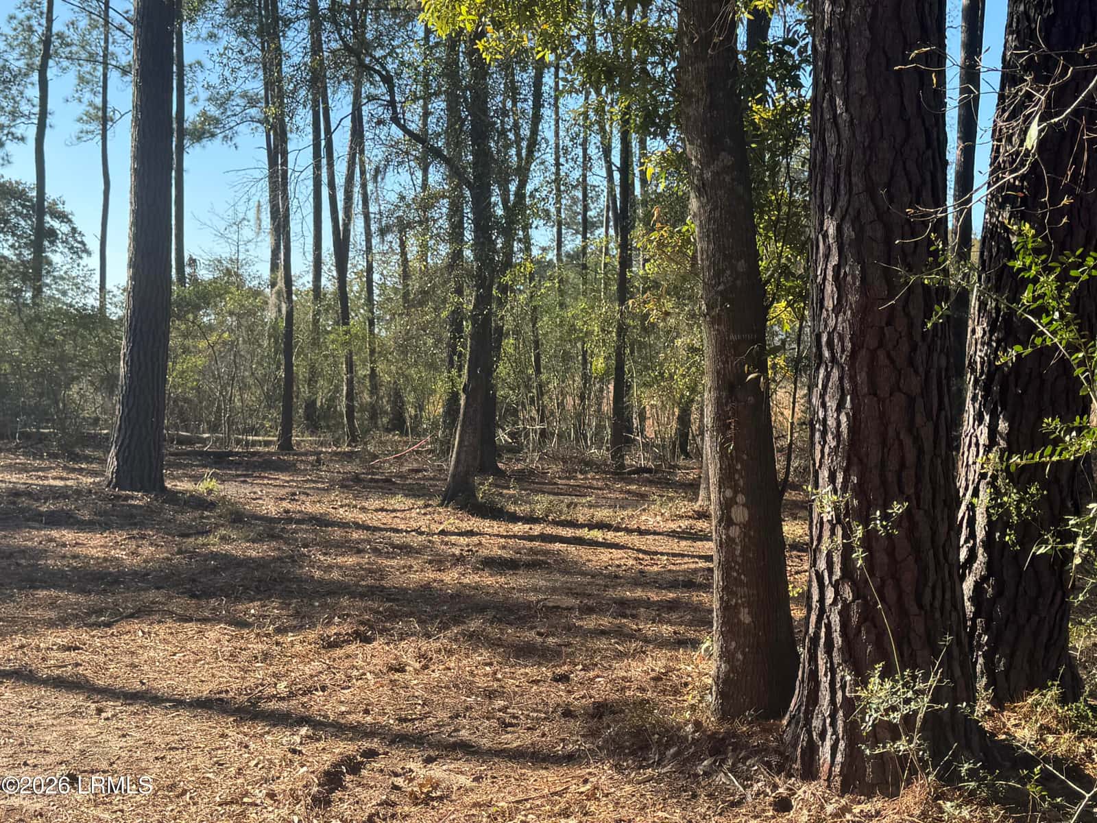 14 River Drive, Beaufort, SC 29907 — photo 2 of 6
