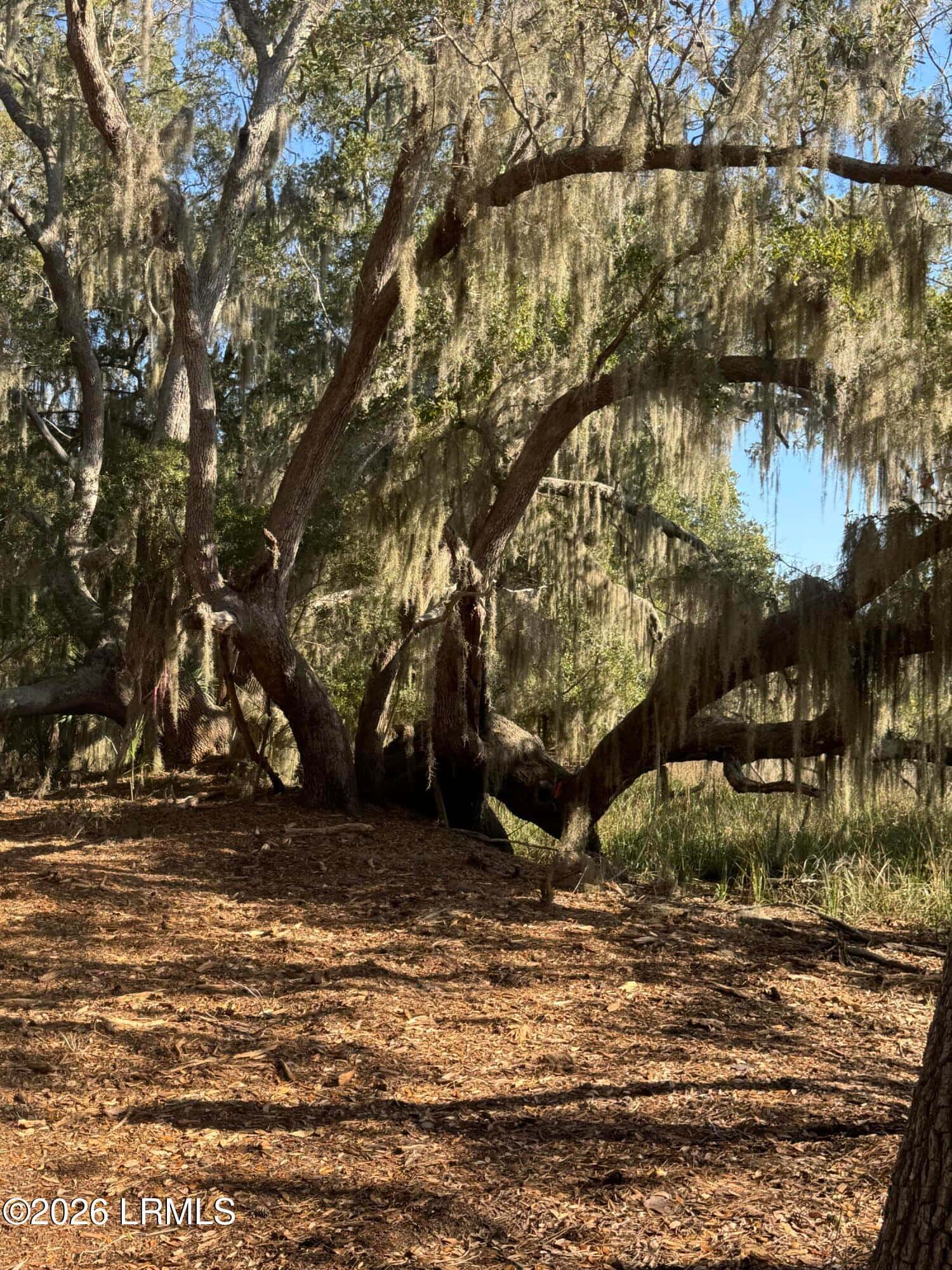 14 River Drive, Beaufort, SC 29907 — photo 4 of 6