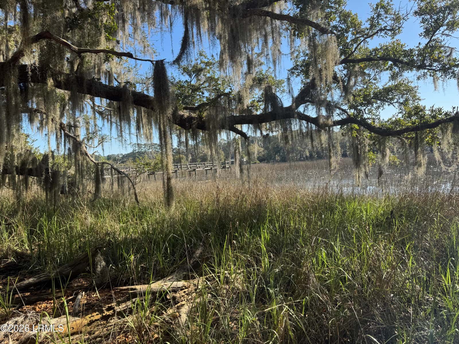 14 River Drive, Beaufort, SC 29907 — photo 5 of 6