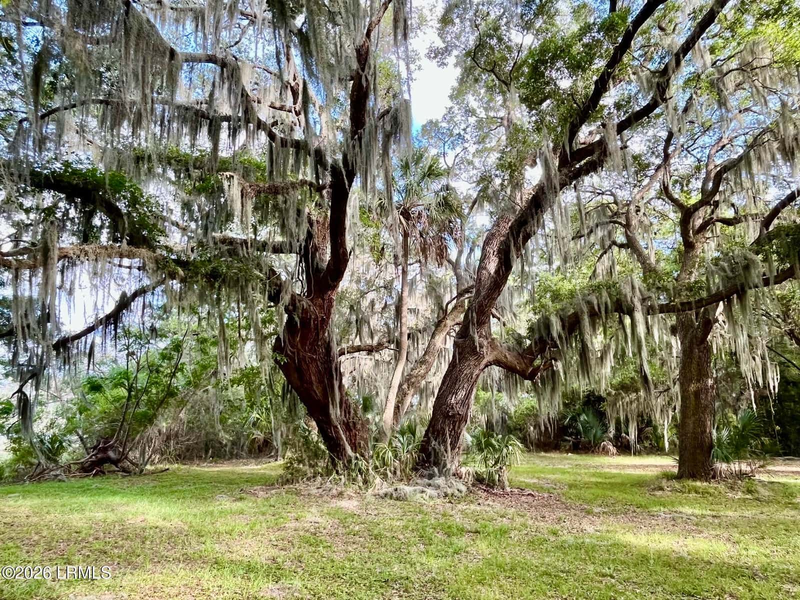 Tbd Mattis Drive, St. Helena Island, SC 29920 — photo 3 of 12