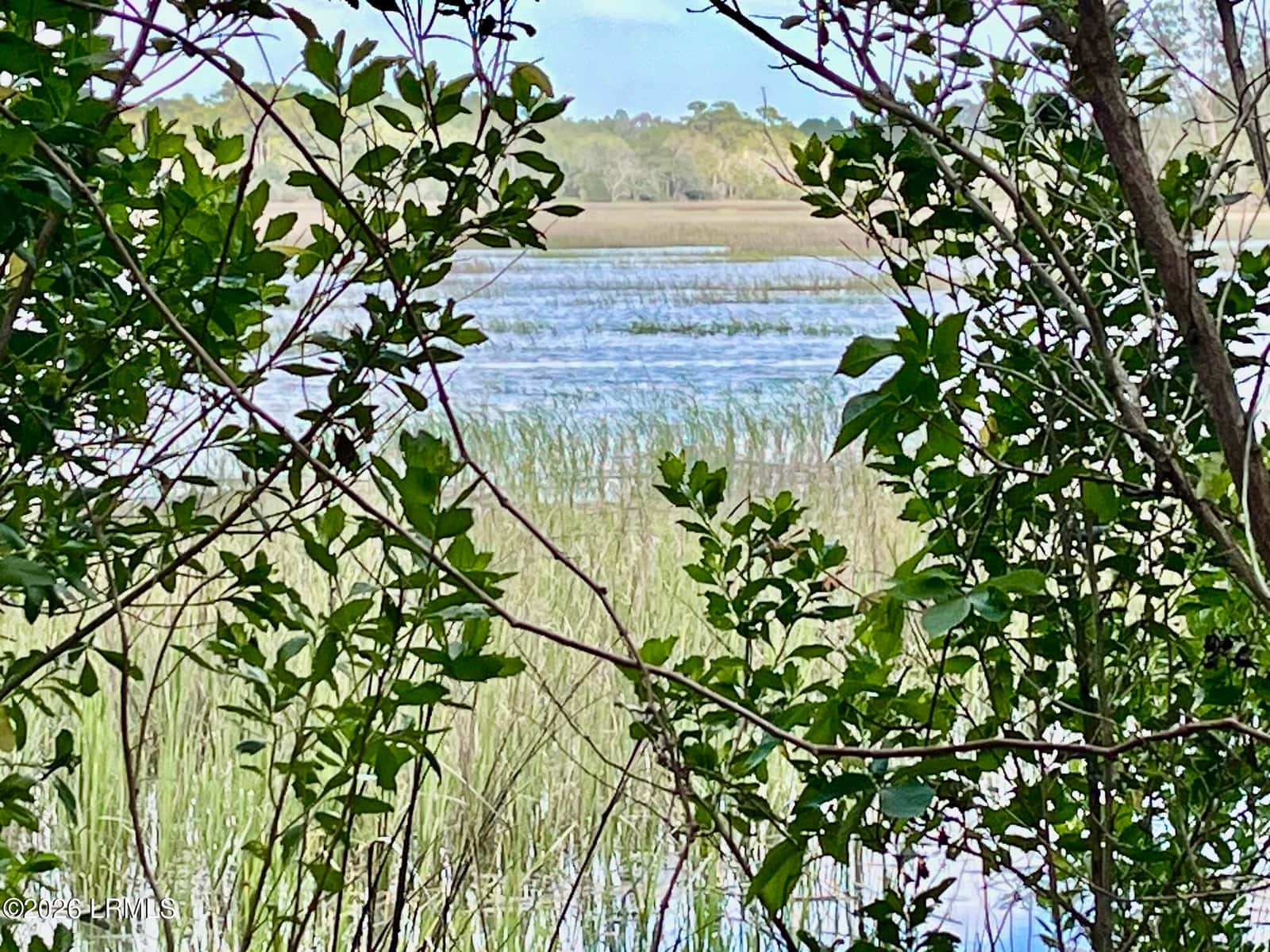 Tbd Mattis Drive, St. Helena Island, SC 29920 — photo 2 of 12