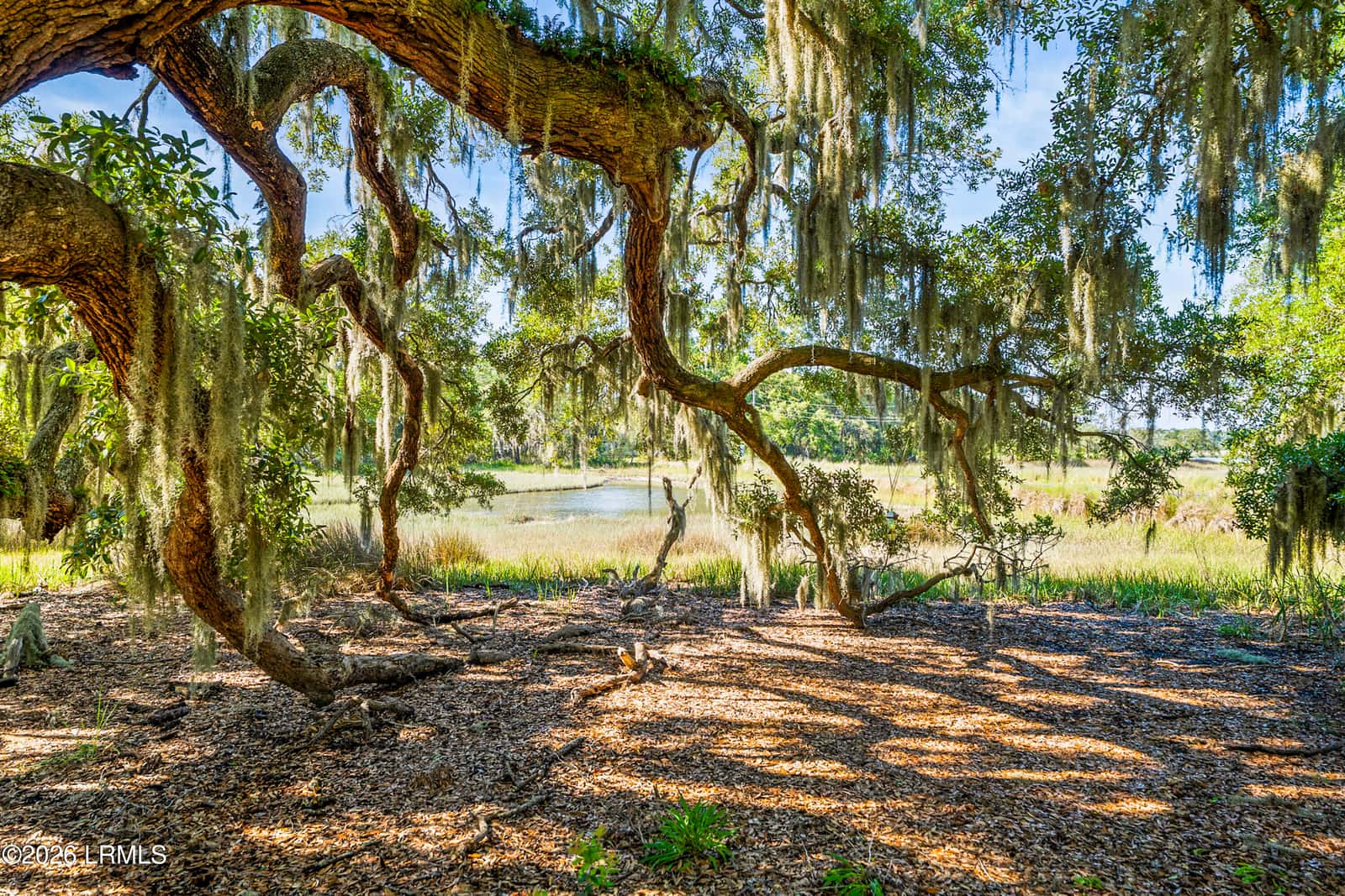 2255 Plantation Drive, Beaufort, SC 29902 — photo 3 of 54