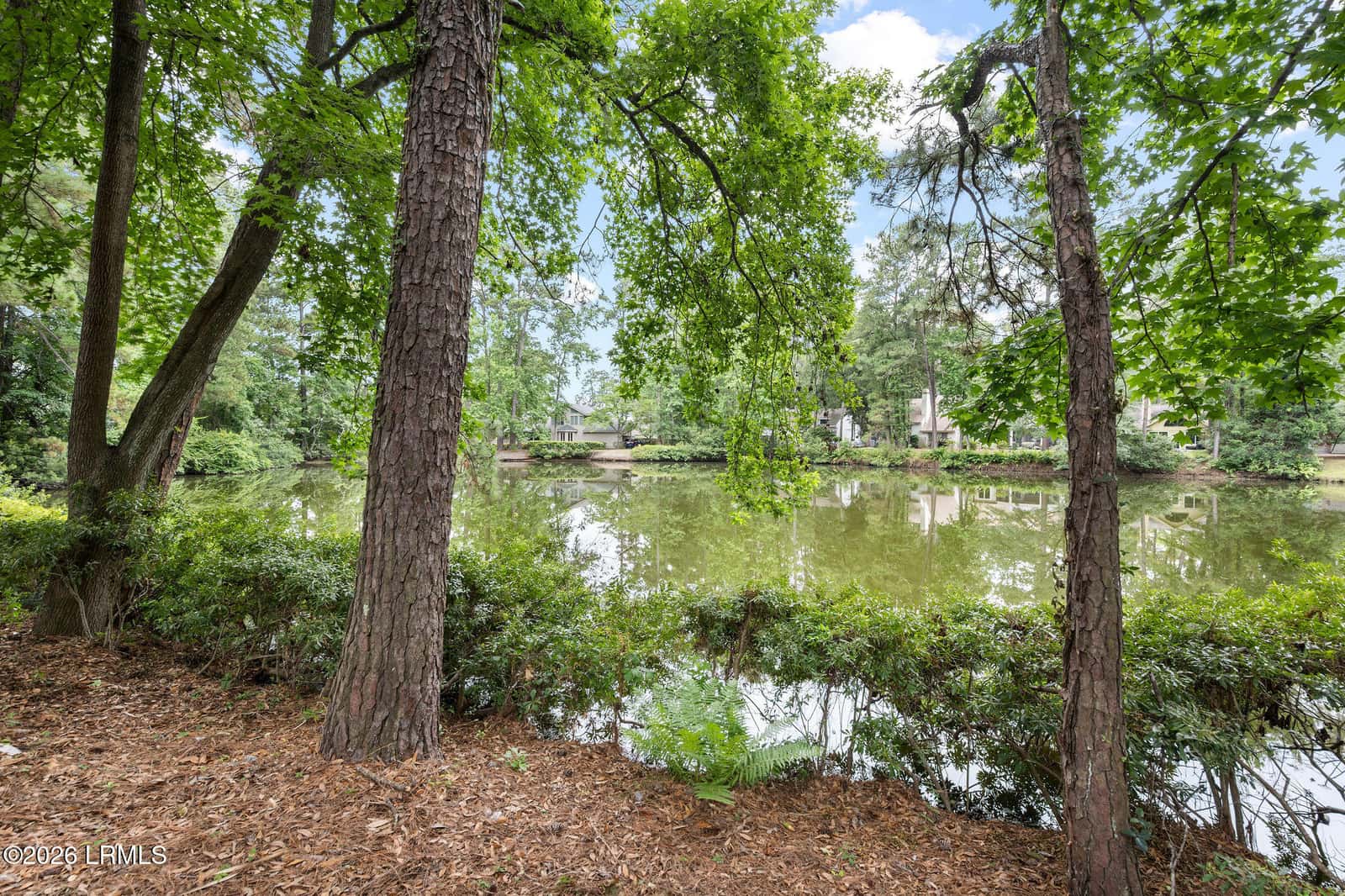 33 Victoria Drive, Hilton Head Island, SC 29926 — photo 5 of 57