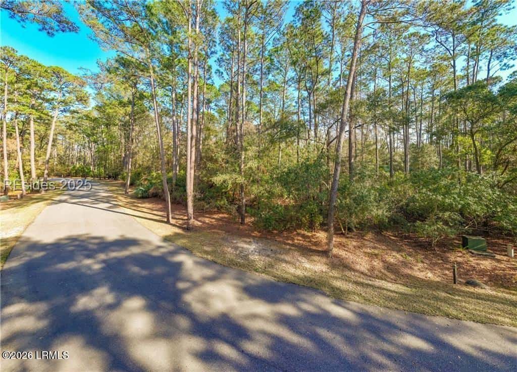 12 Vista Boulevard W, St. Helena Island, SC 29920 — photo 4 of 18