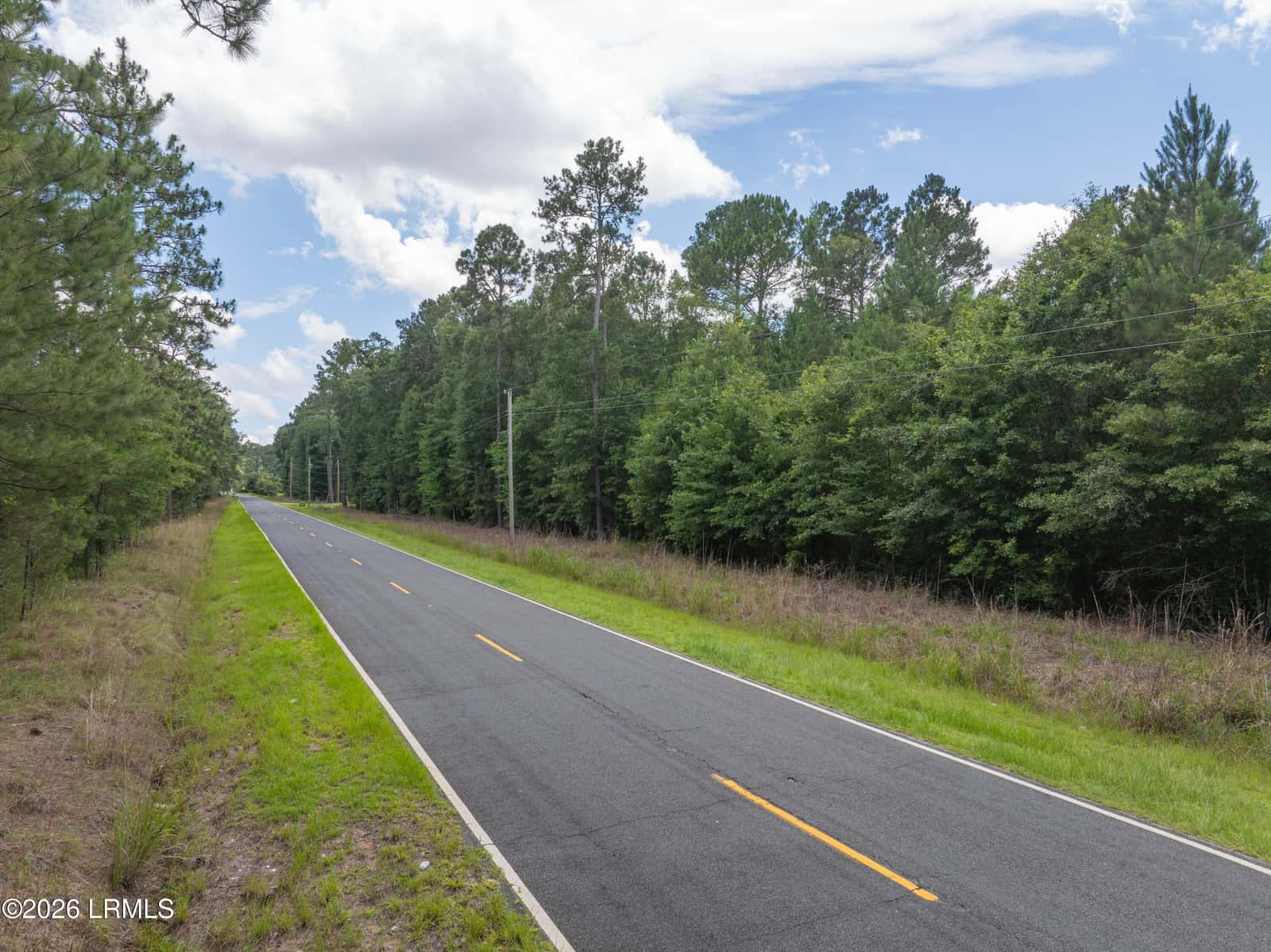 Tbd Purrysburg Road, Hardeeville, SC 29927 — photo 3 of 19