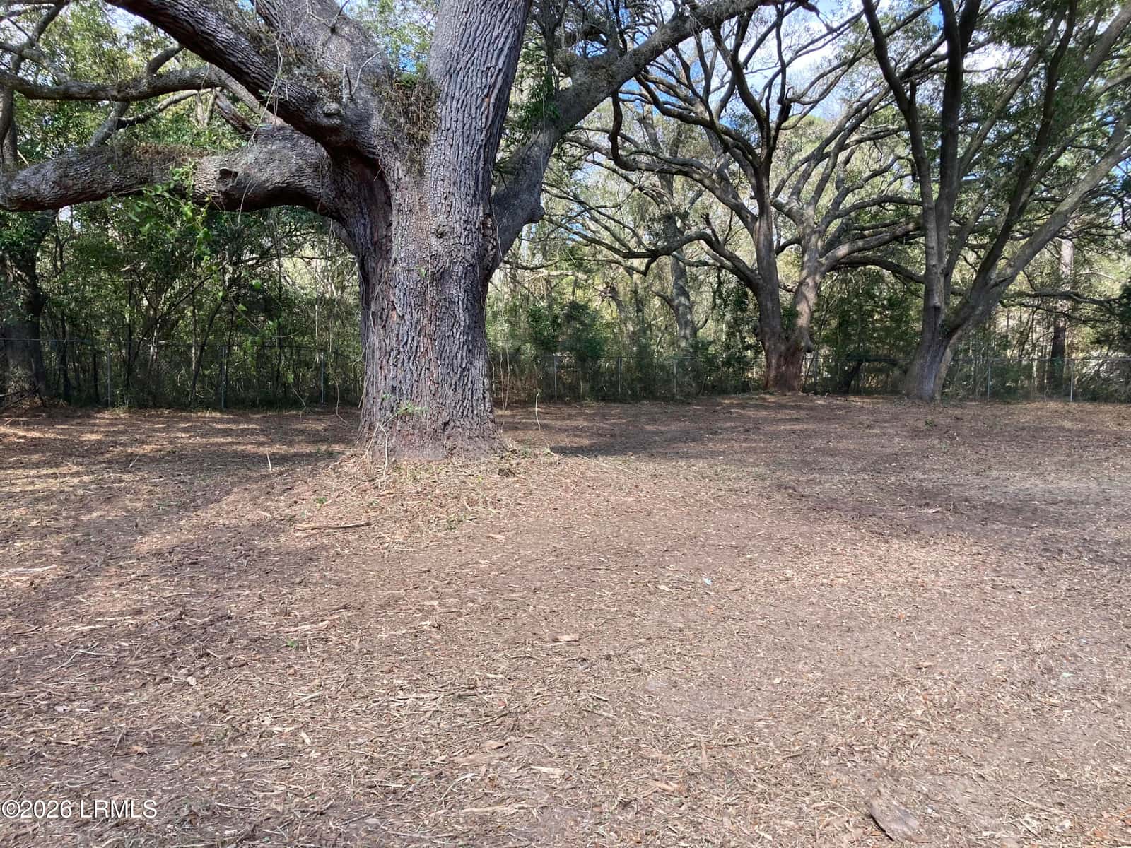 23 Horse Island Road, St. Helena Island, SC 29920 — photo 4 of 5