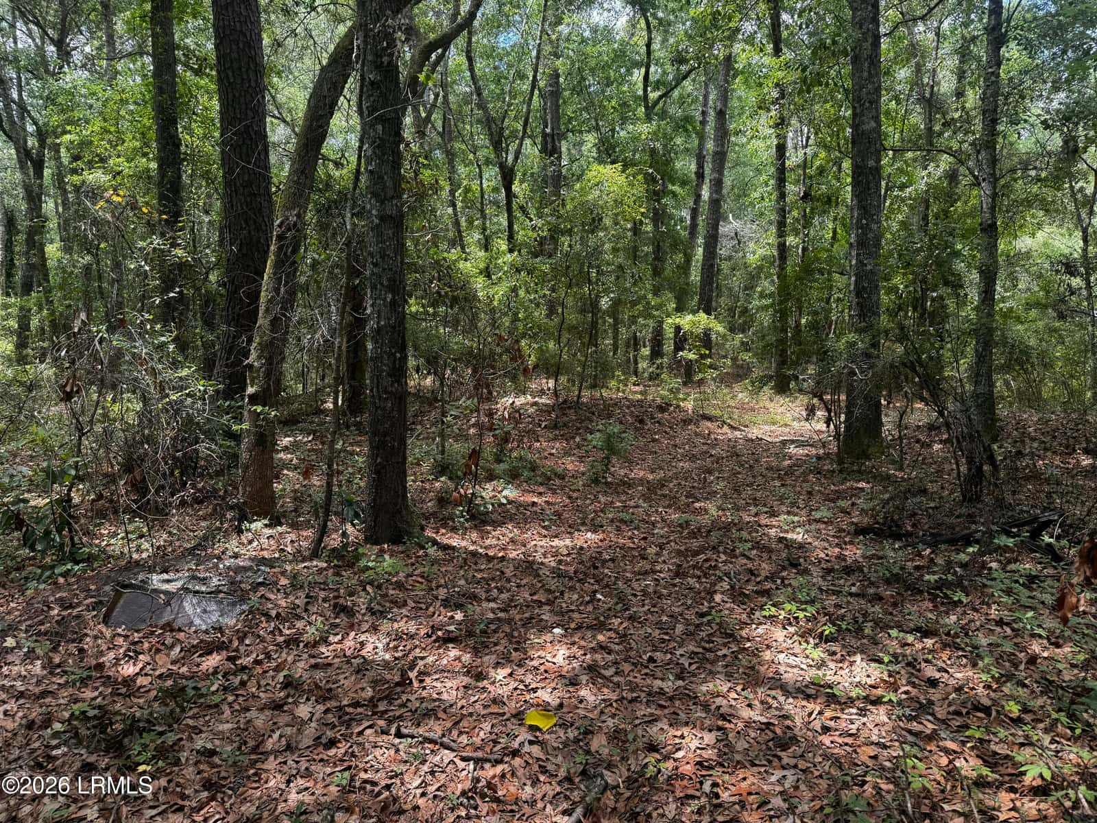 43 Pine Grove Road, Beaufort, SC 29906 — photo 3 of 4