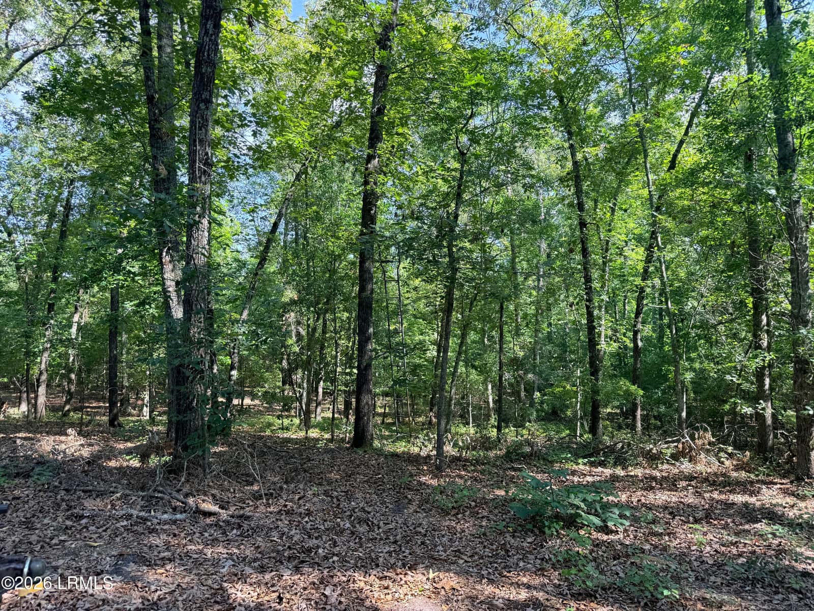 6434 Sc Highway 3, Barnwell, SC 29812 — photo 4 of 16